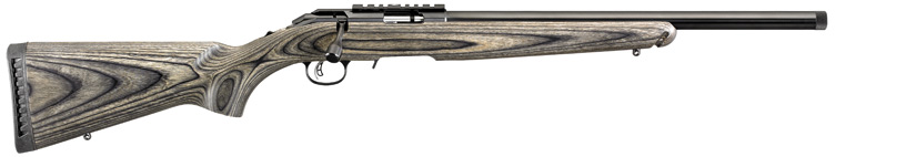 Gun_Image