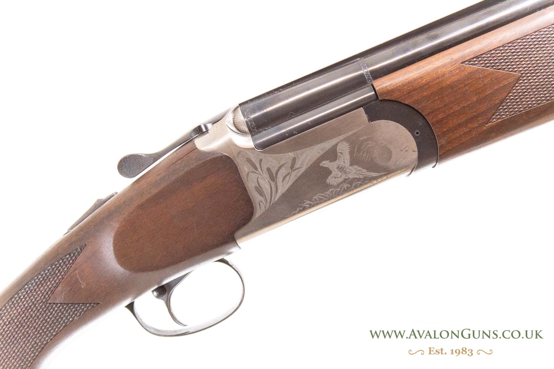 Gun_Image