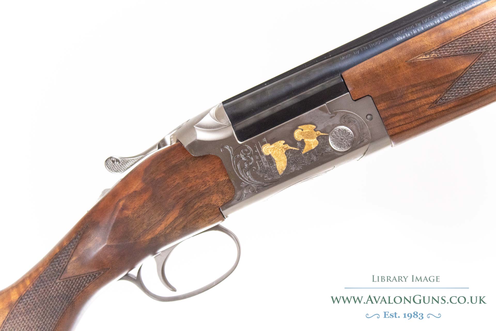 Gun_Image