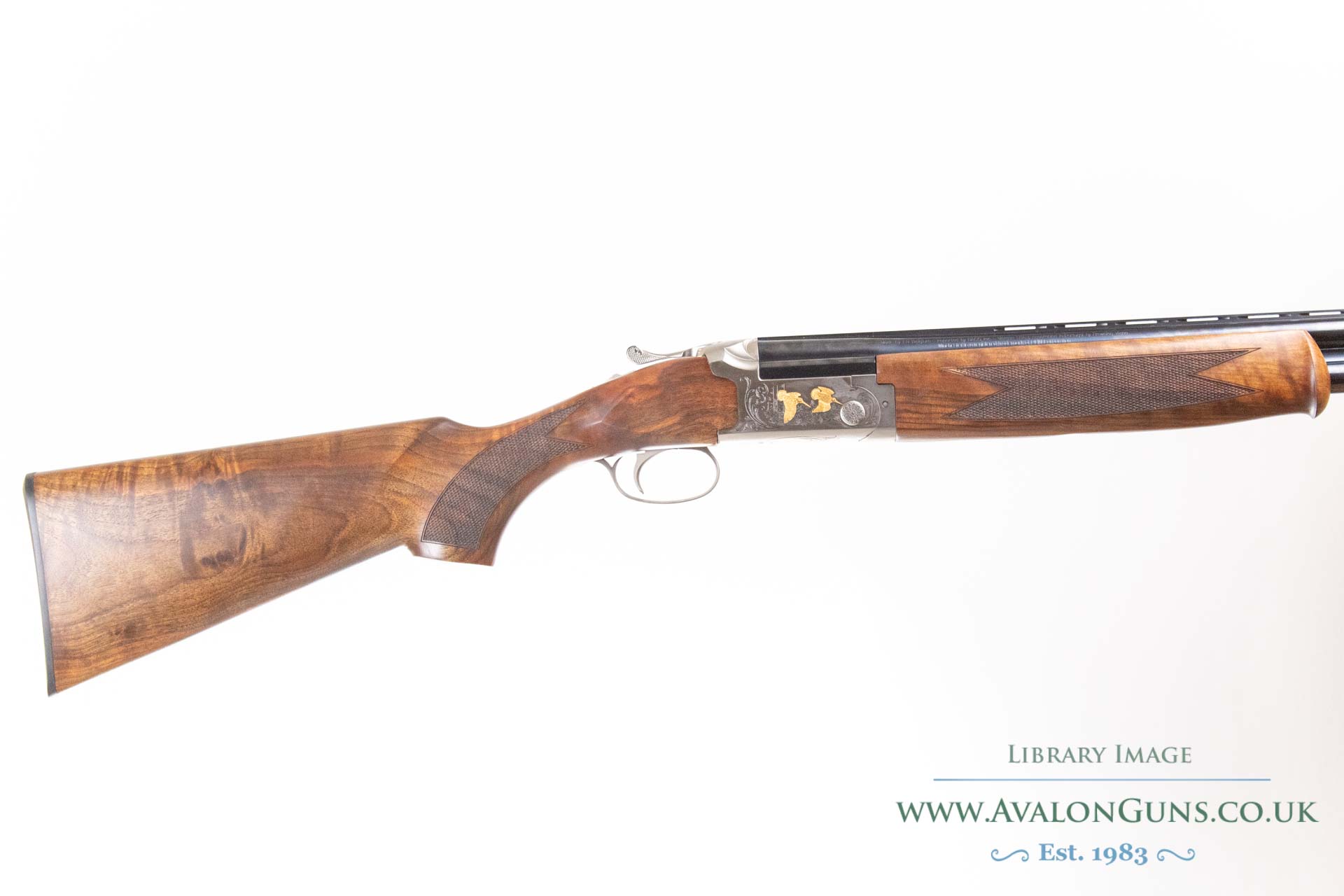 Gun_Image