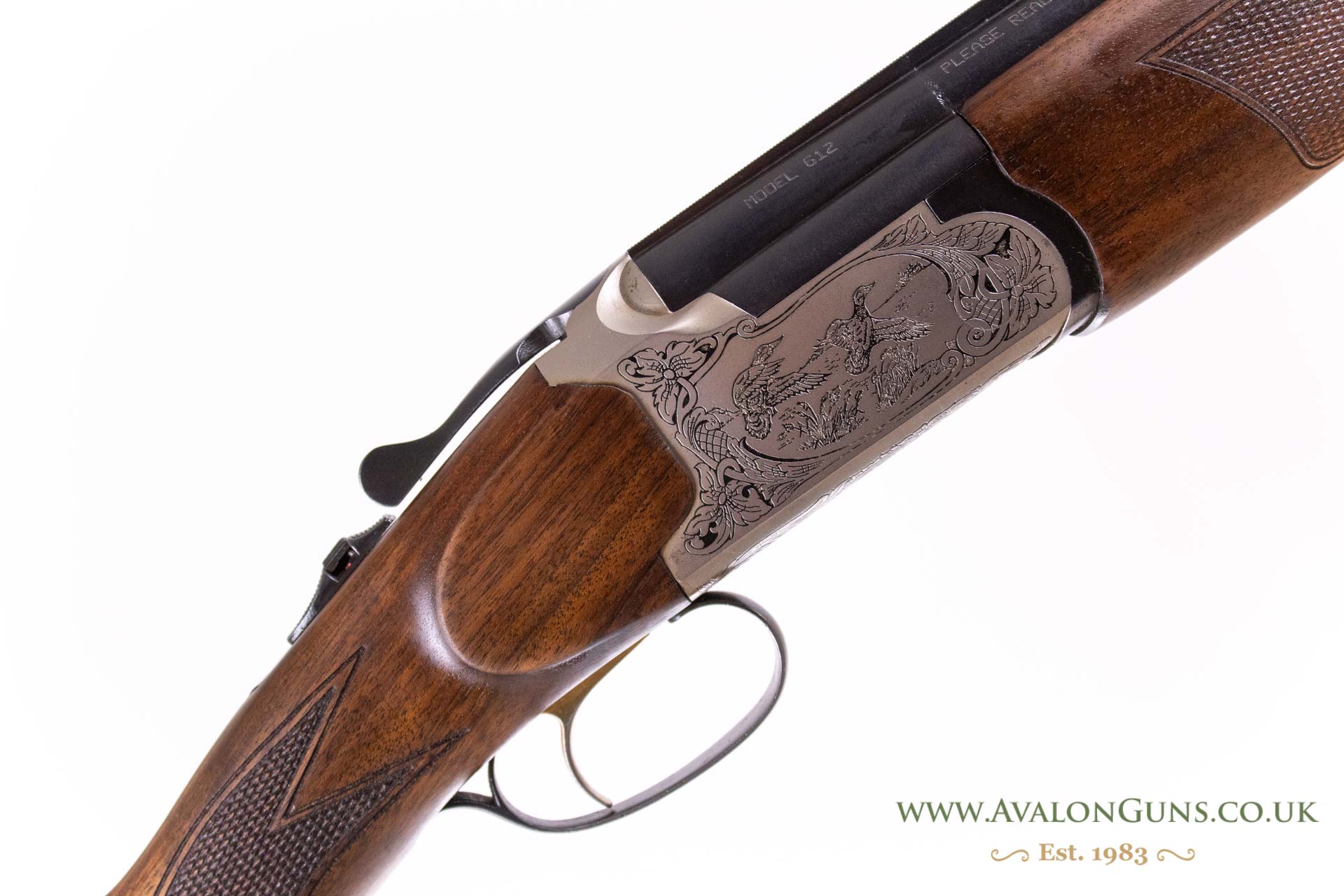 Gun_Image