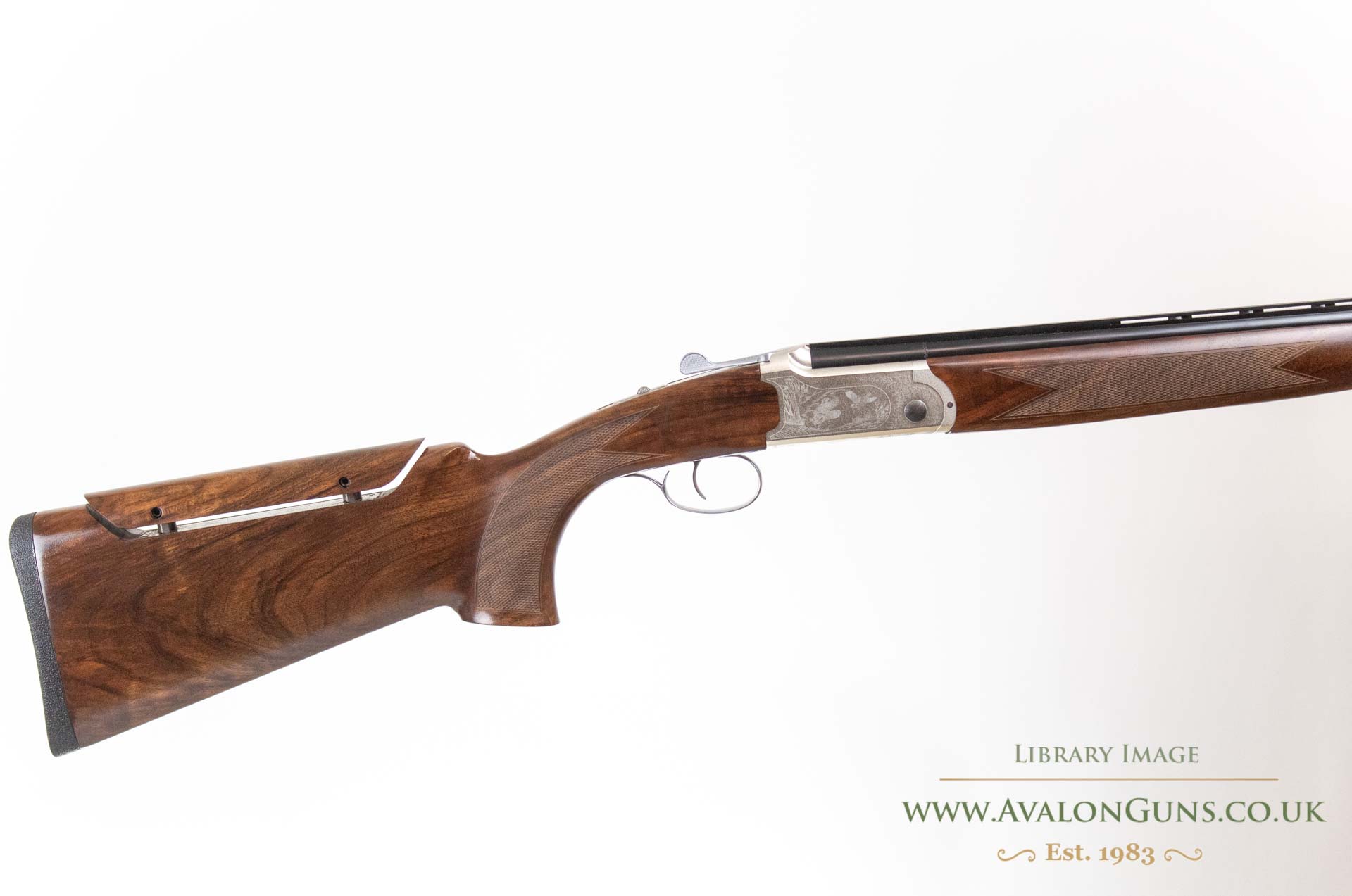 Gun_Image