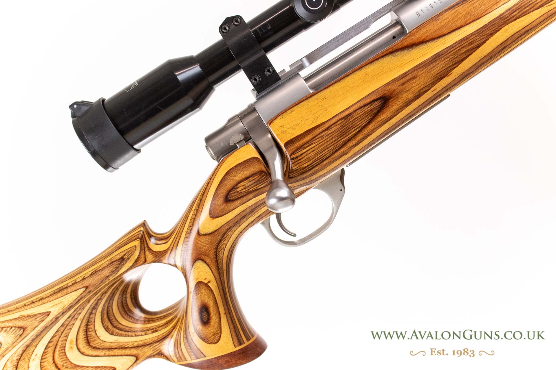 Gun_Image