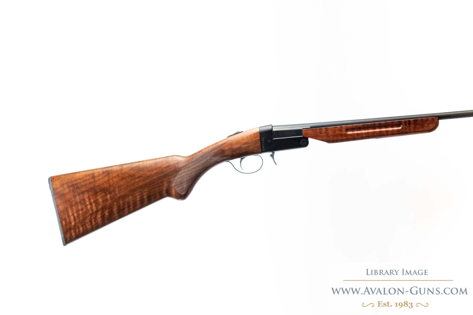 Gun_Image