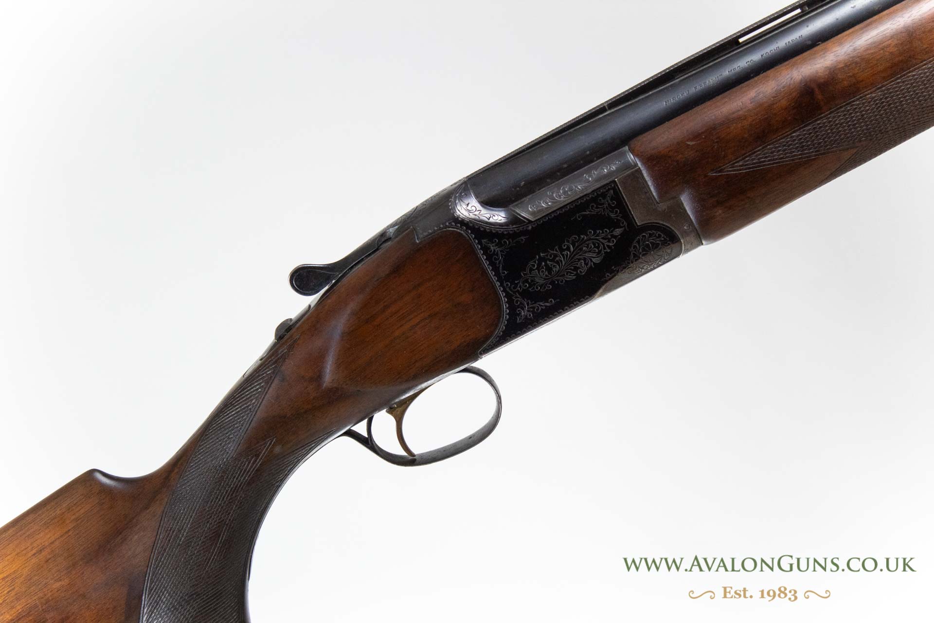 Gun_Image