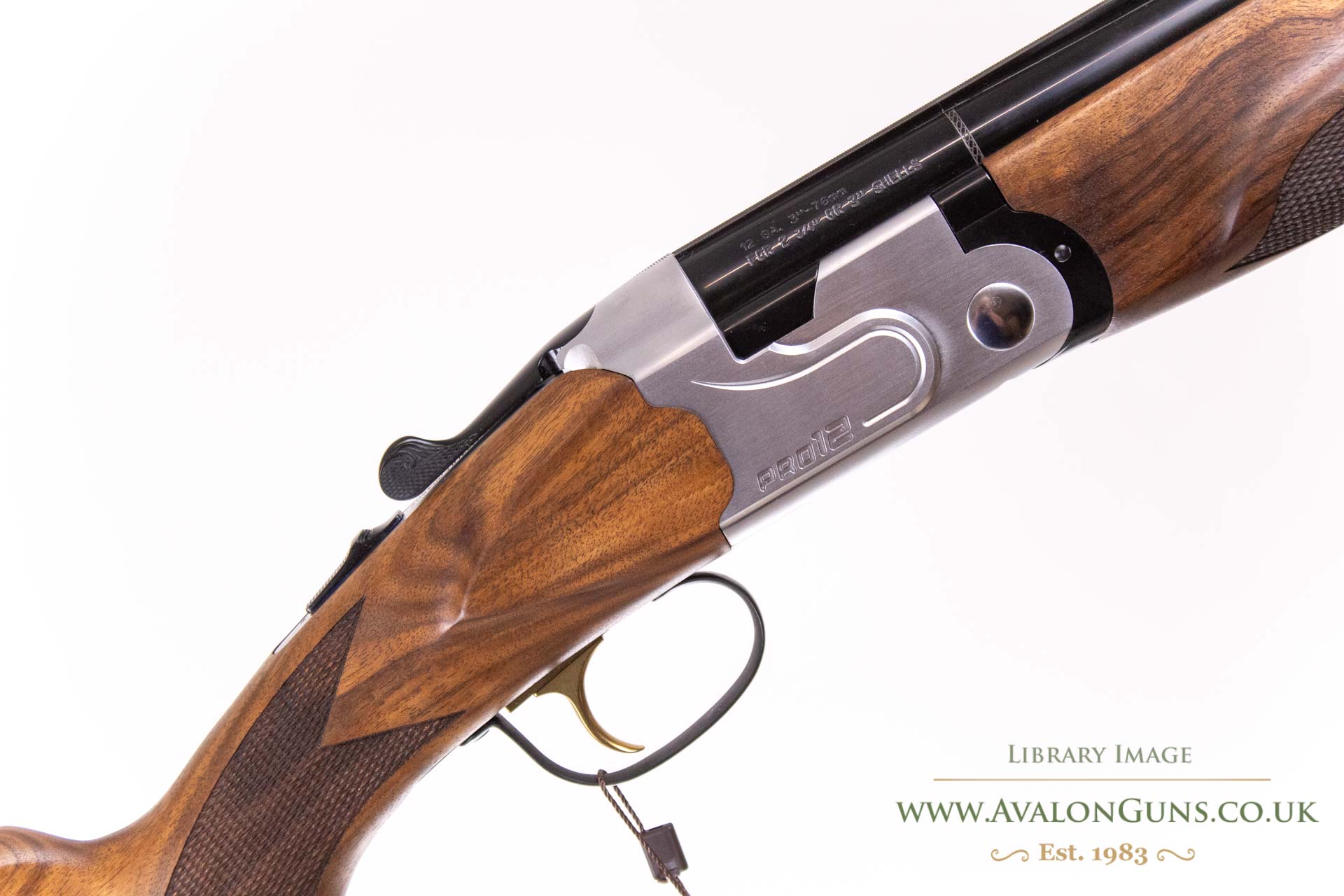 Gun_Image