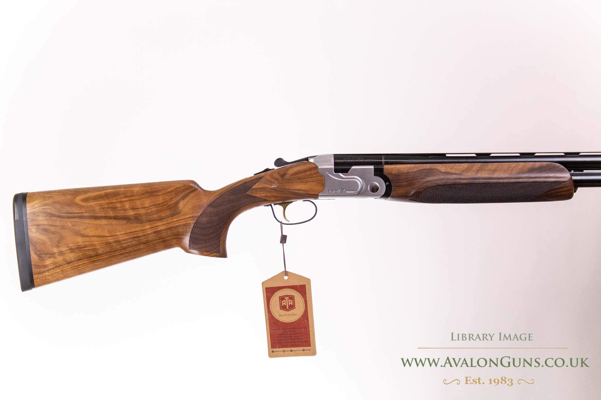 Gun_Image