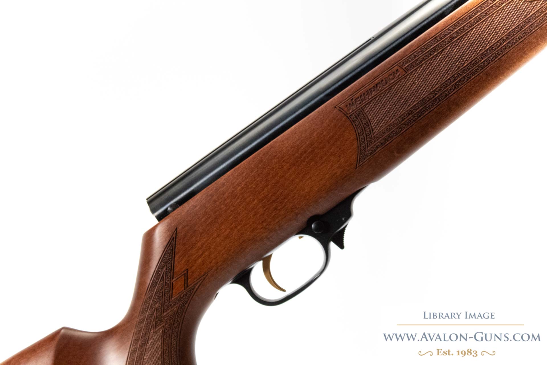 Gun_Image