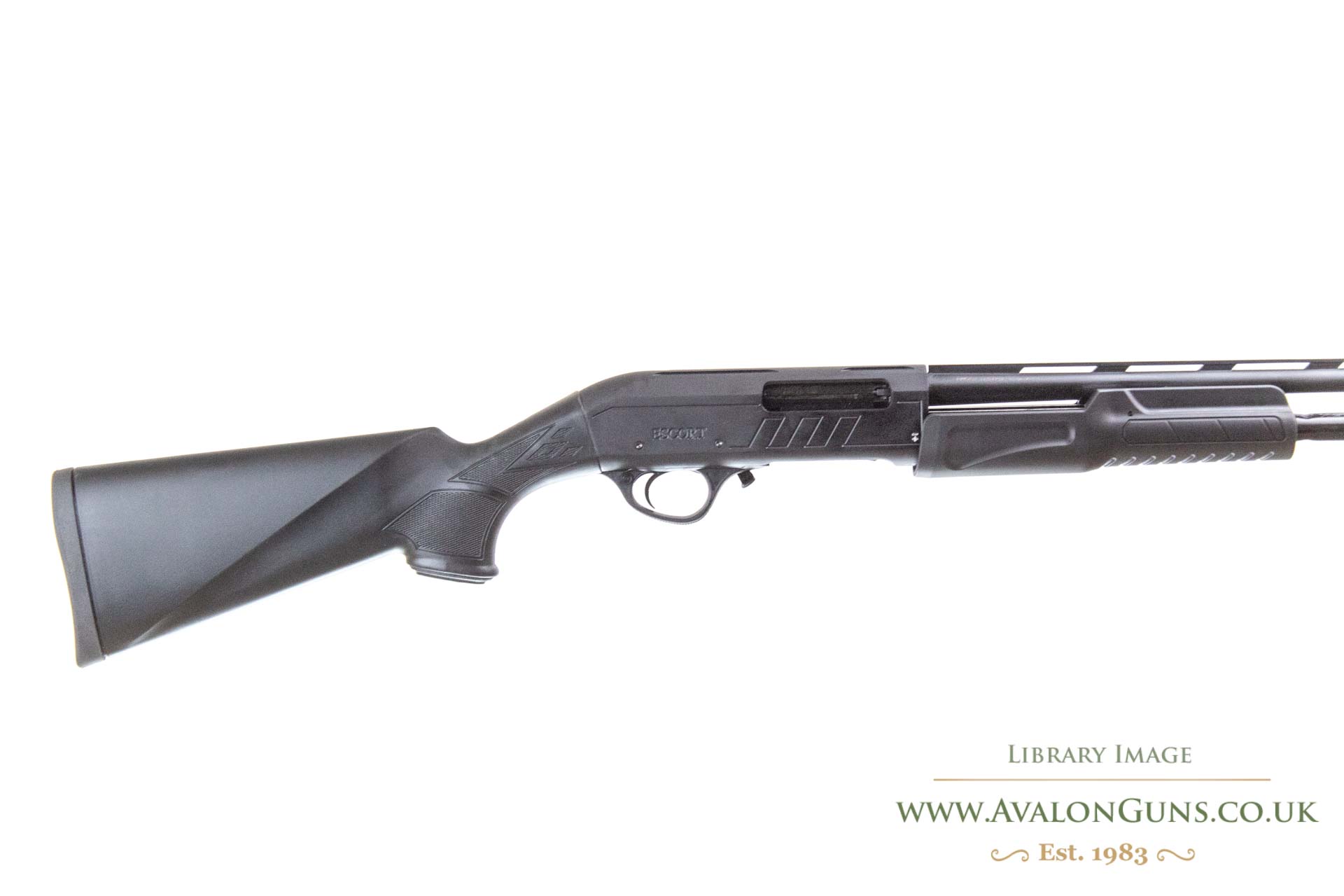 Gun_Image