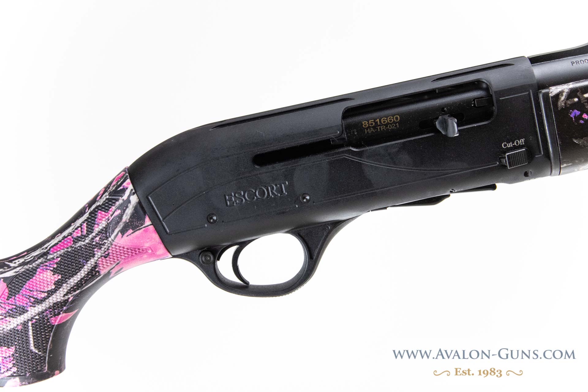 Gun_Image