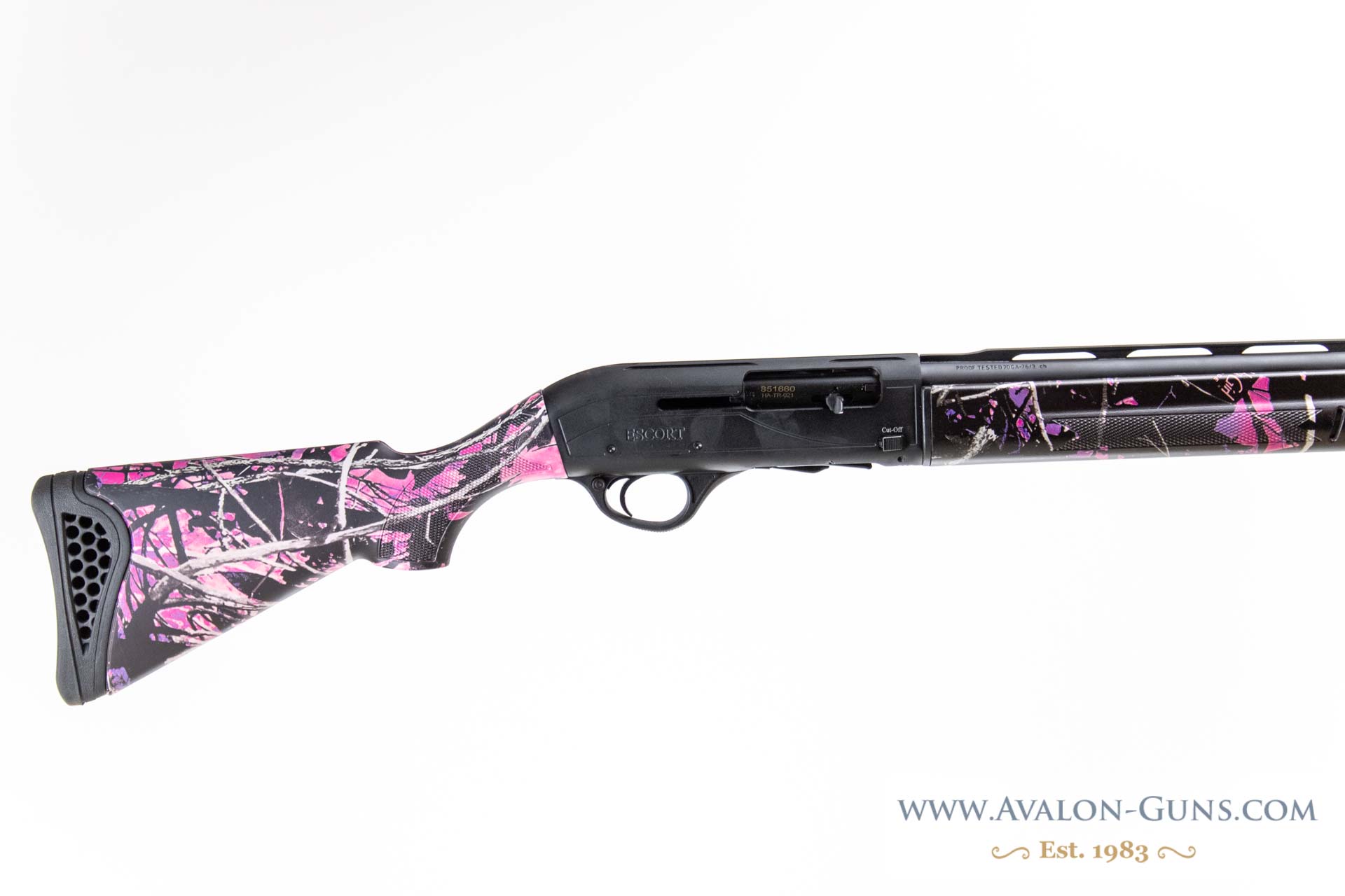 Gun_Image