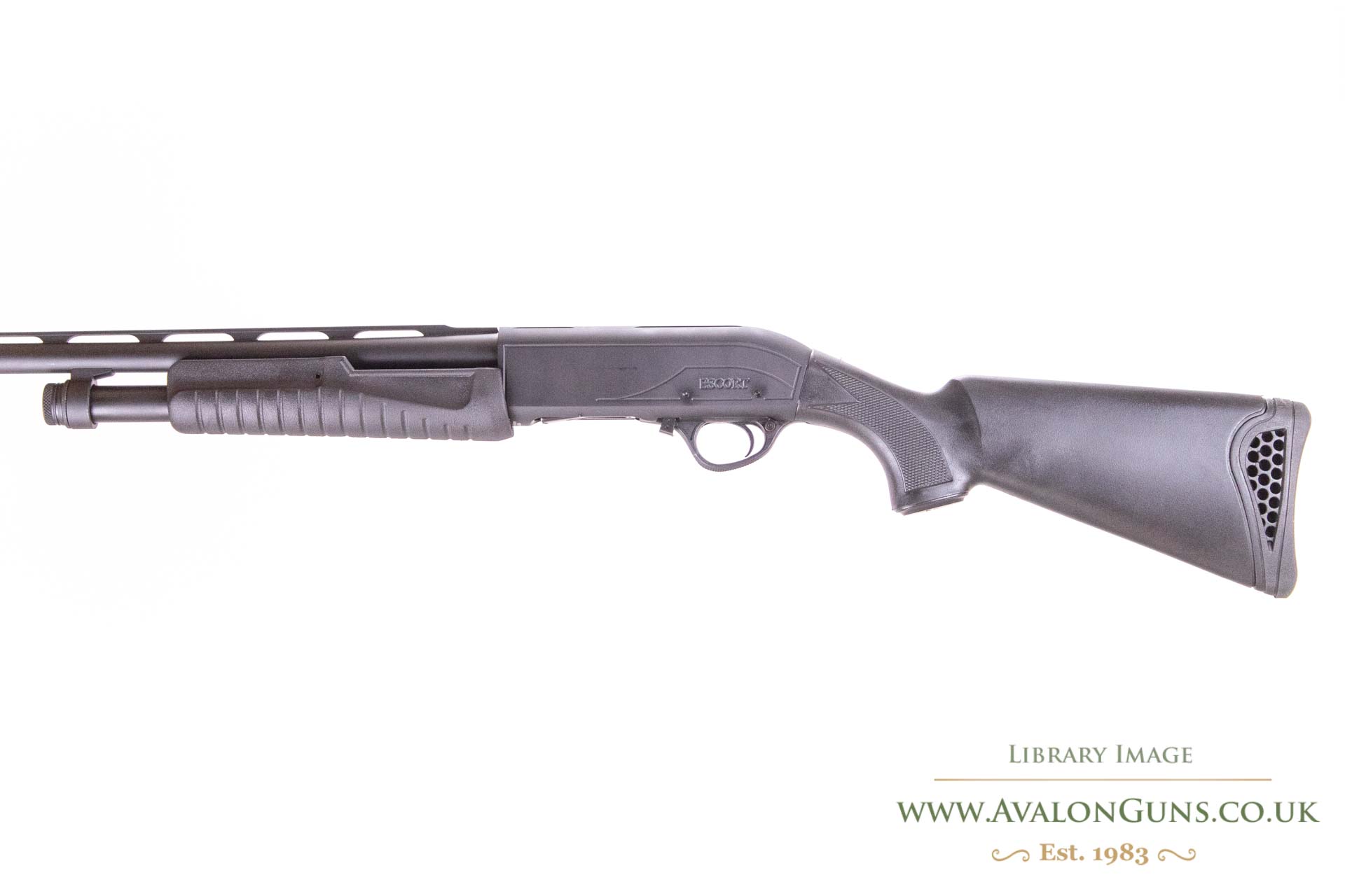 Hatsan Arms Escort