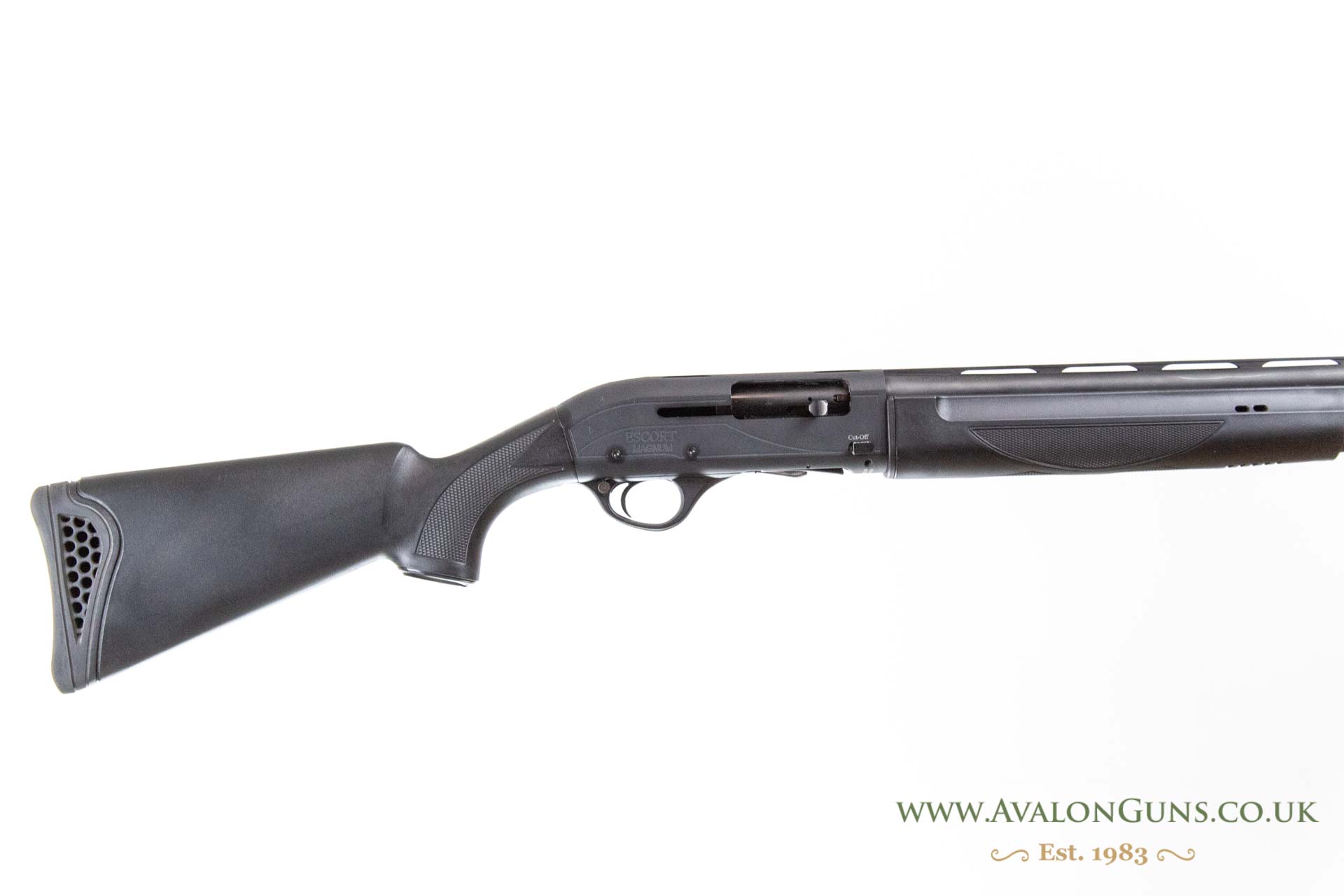 Gun_Image