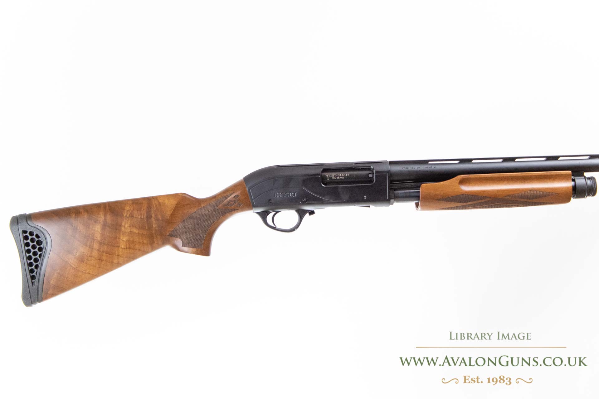 Gun_Image