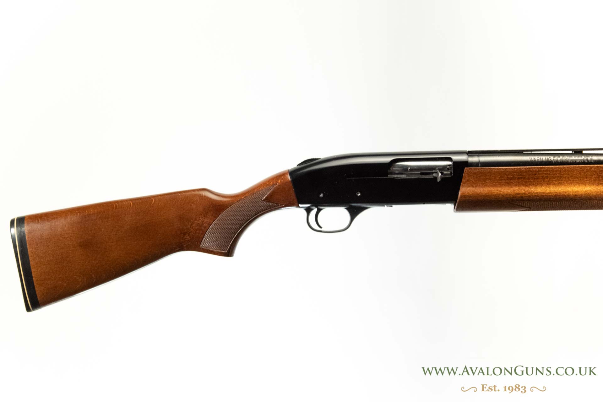 Gun_Image
