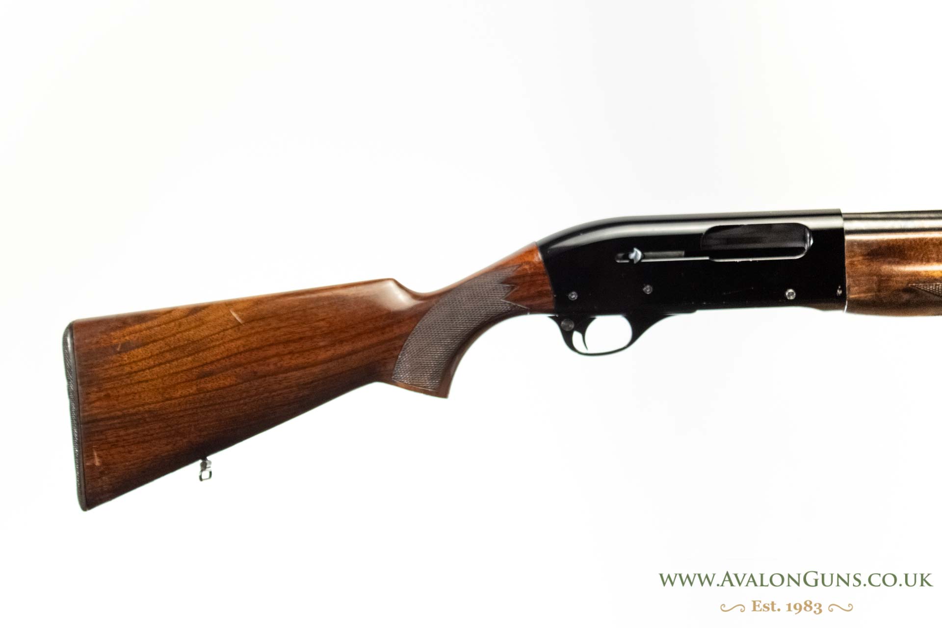Gun_Image