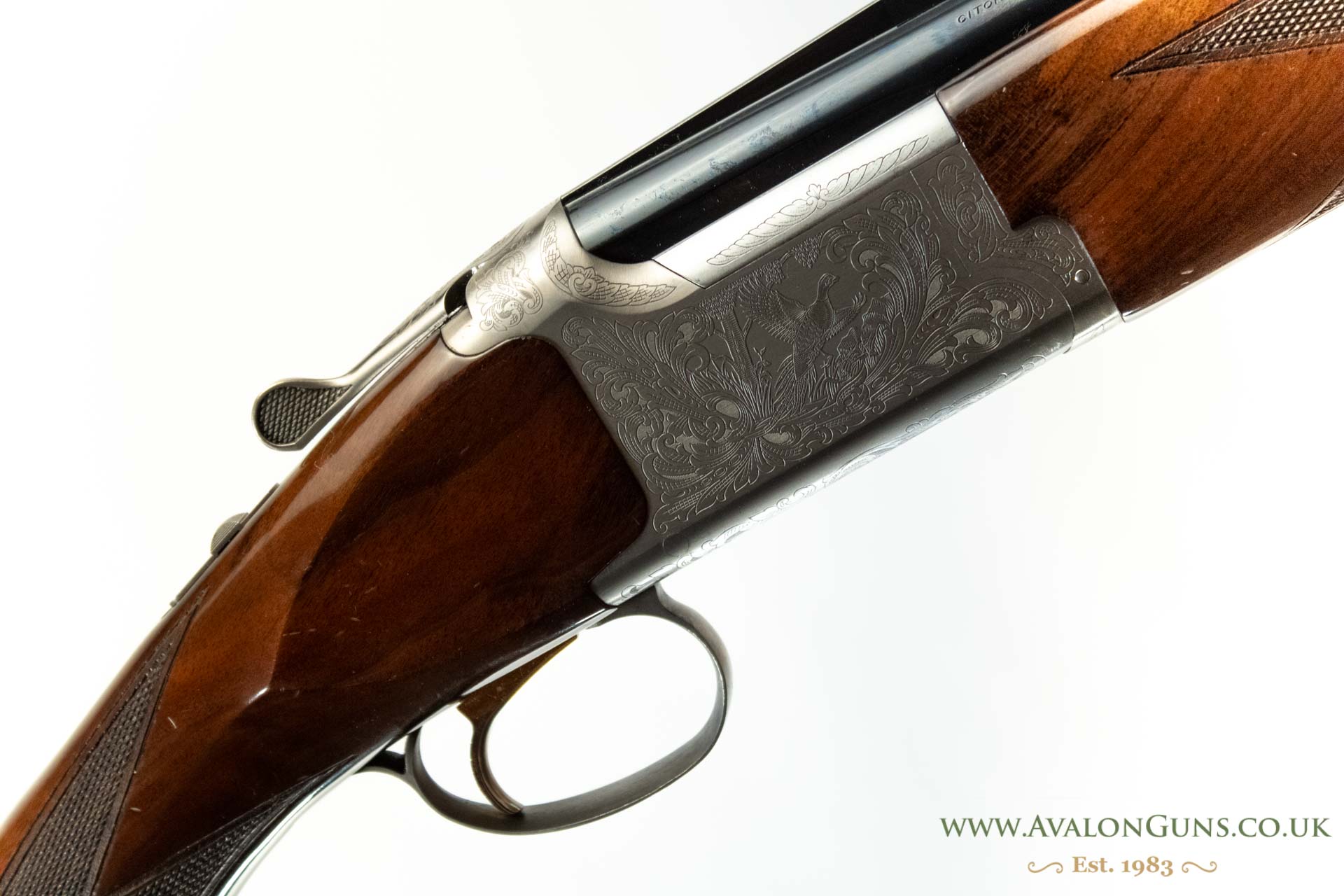 Gun_Image
