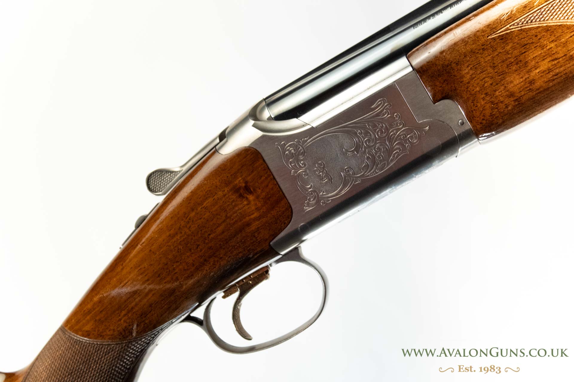 Gun_Image