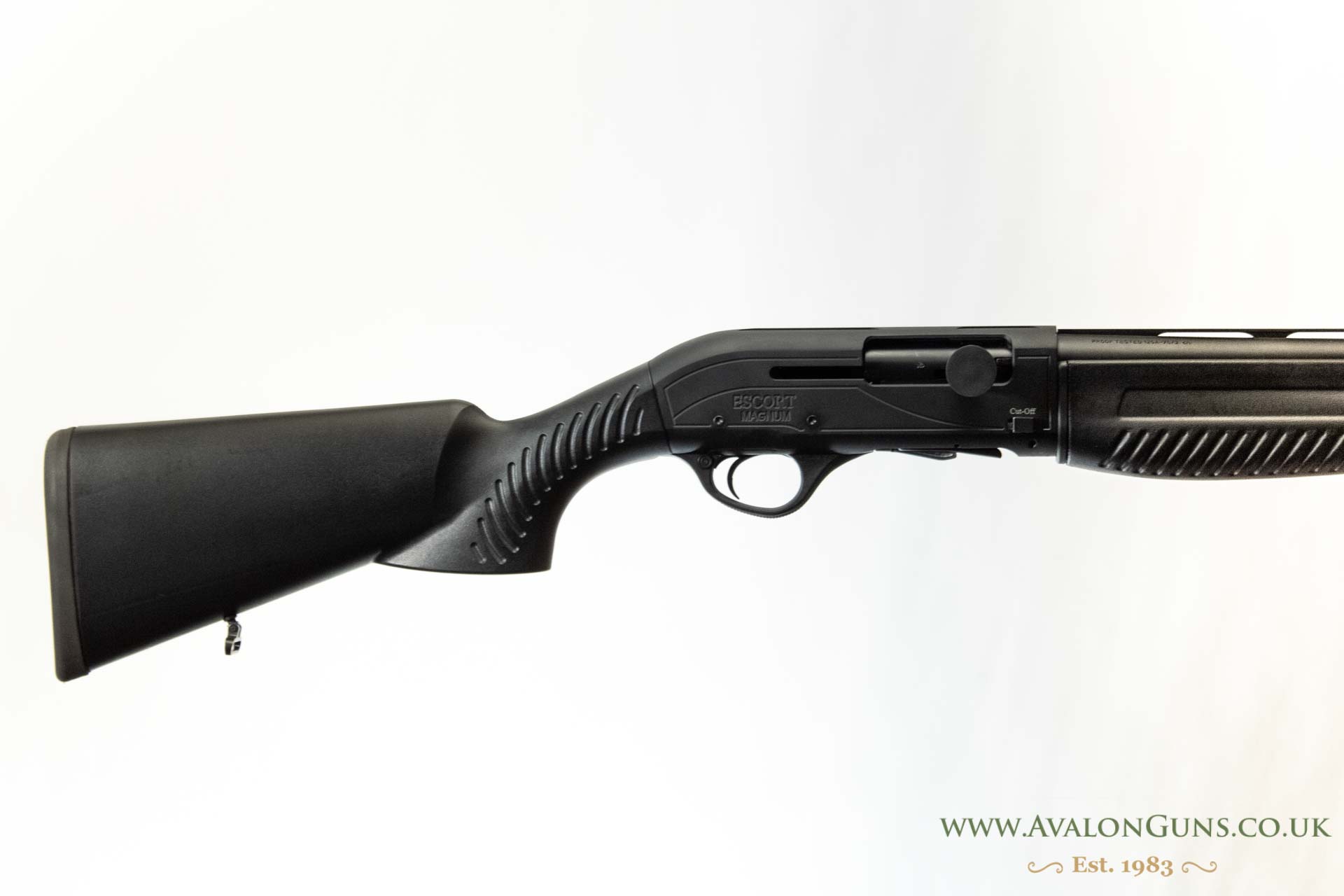 Gun_Image