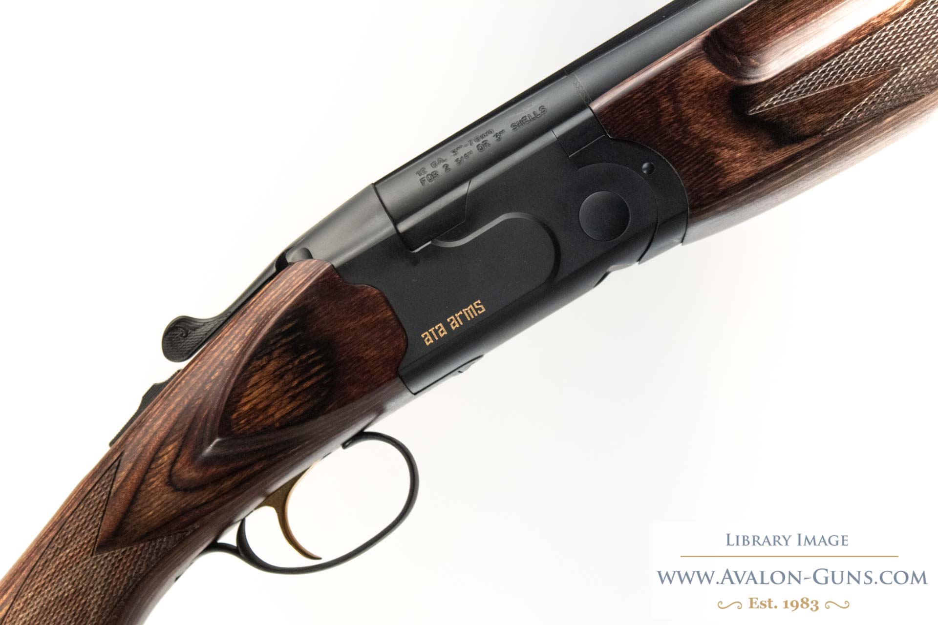 Gun_Image