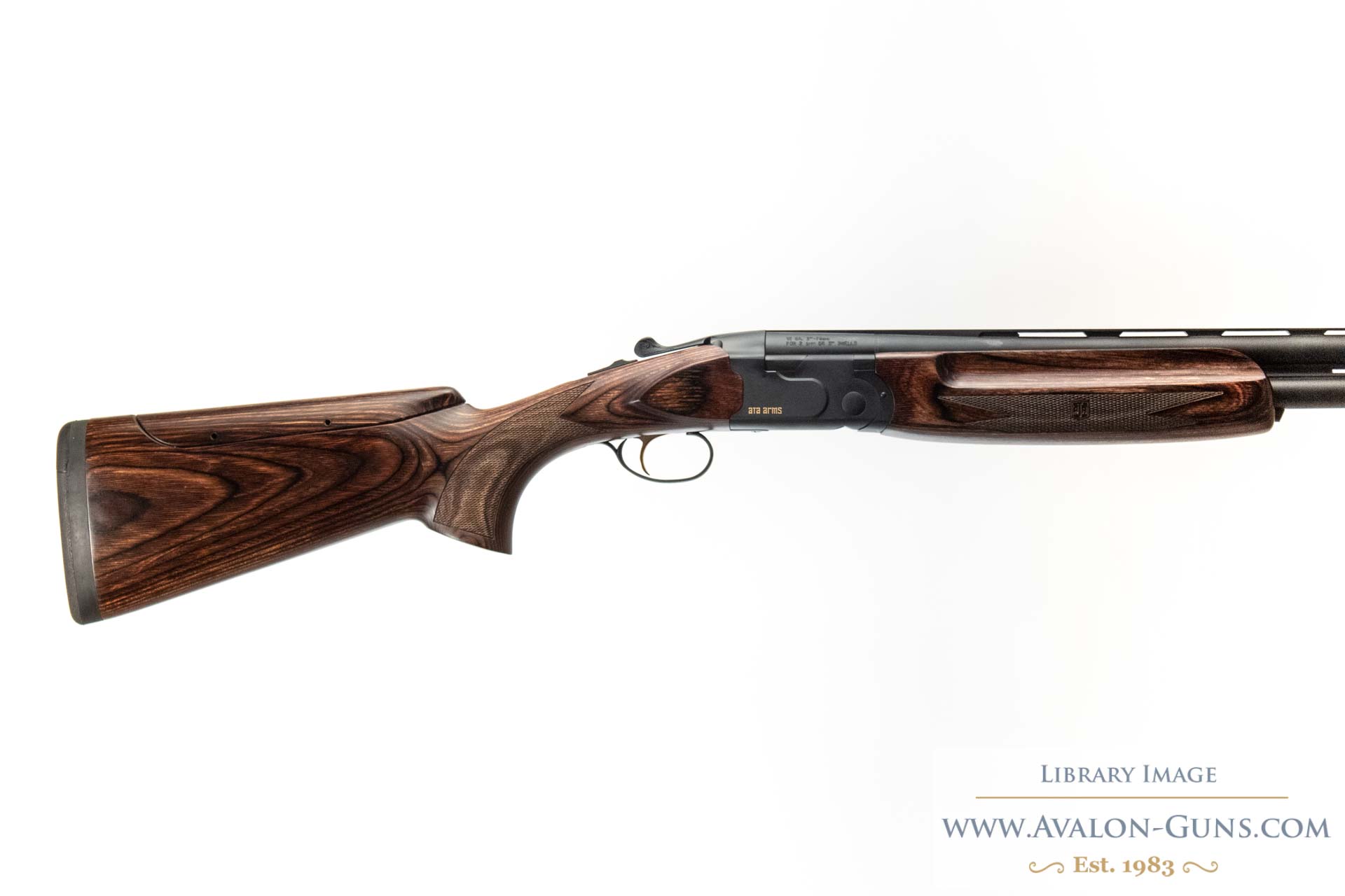 Gun_Image