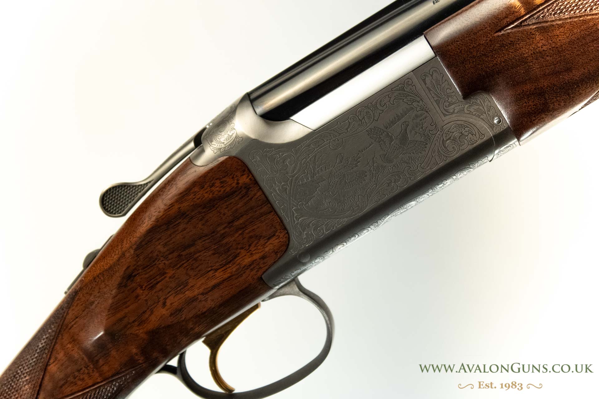 Gun_Image