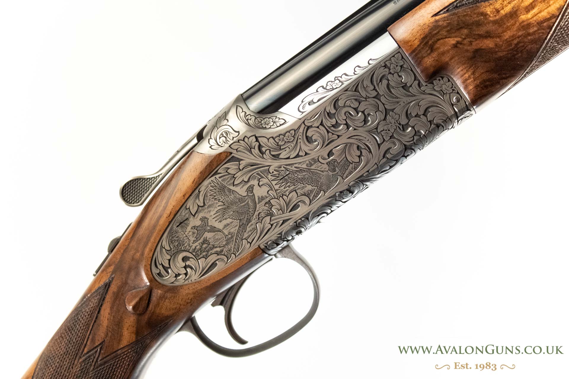 Gun_Image