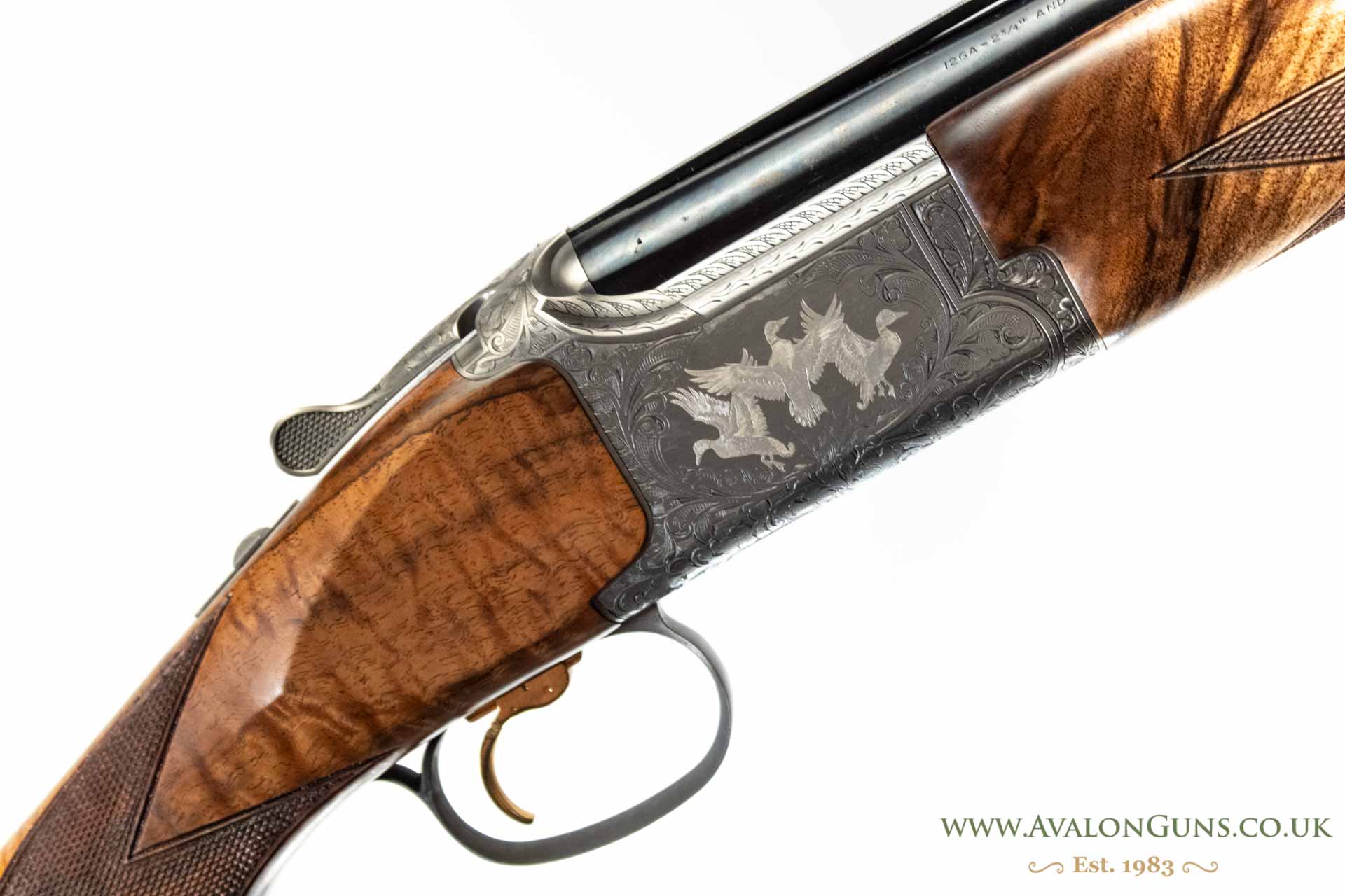 Gun_Image