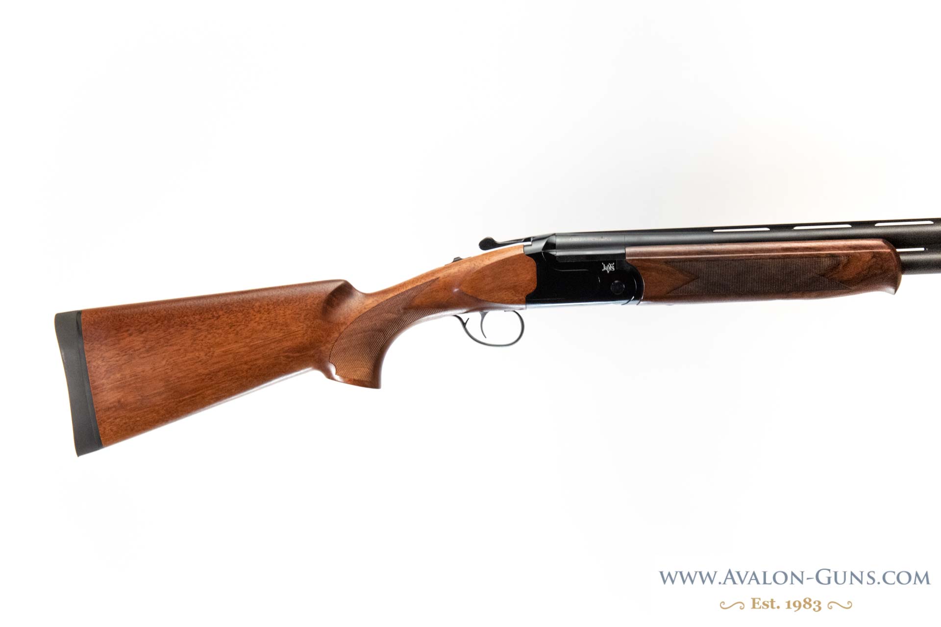 Gun_Image