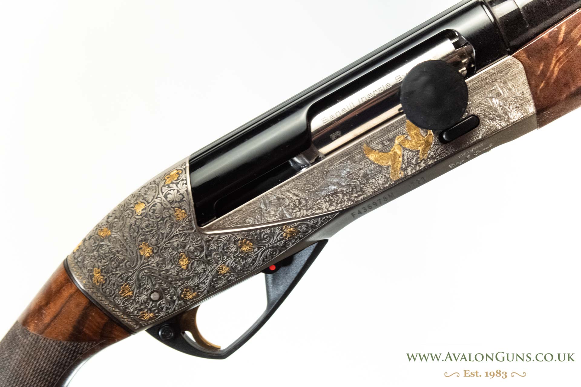 Gun_Image
