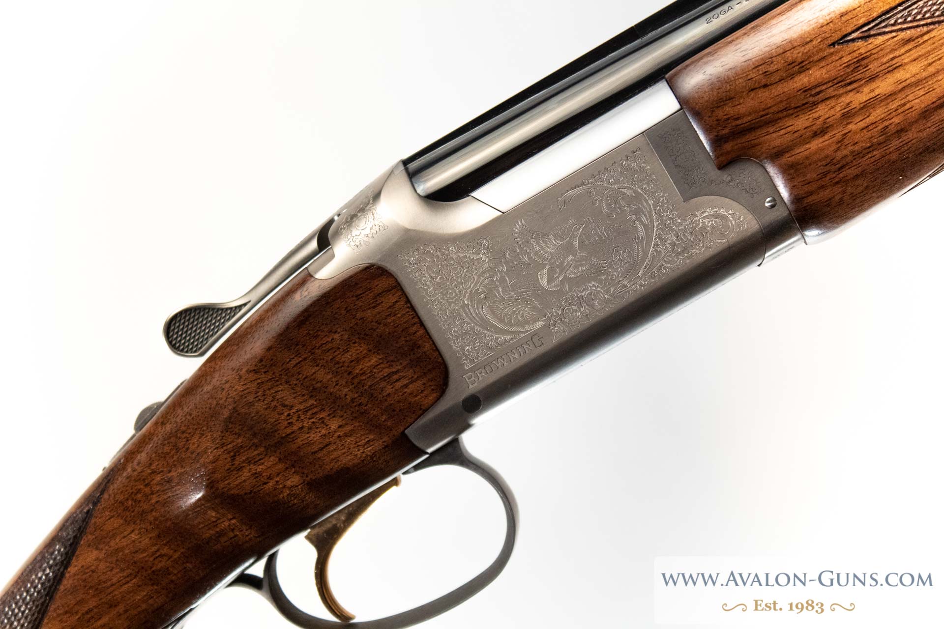 Gun_Image