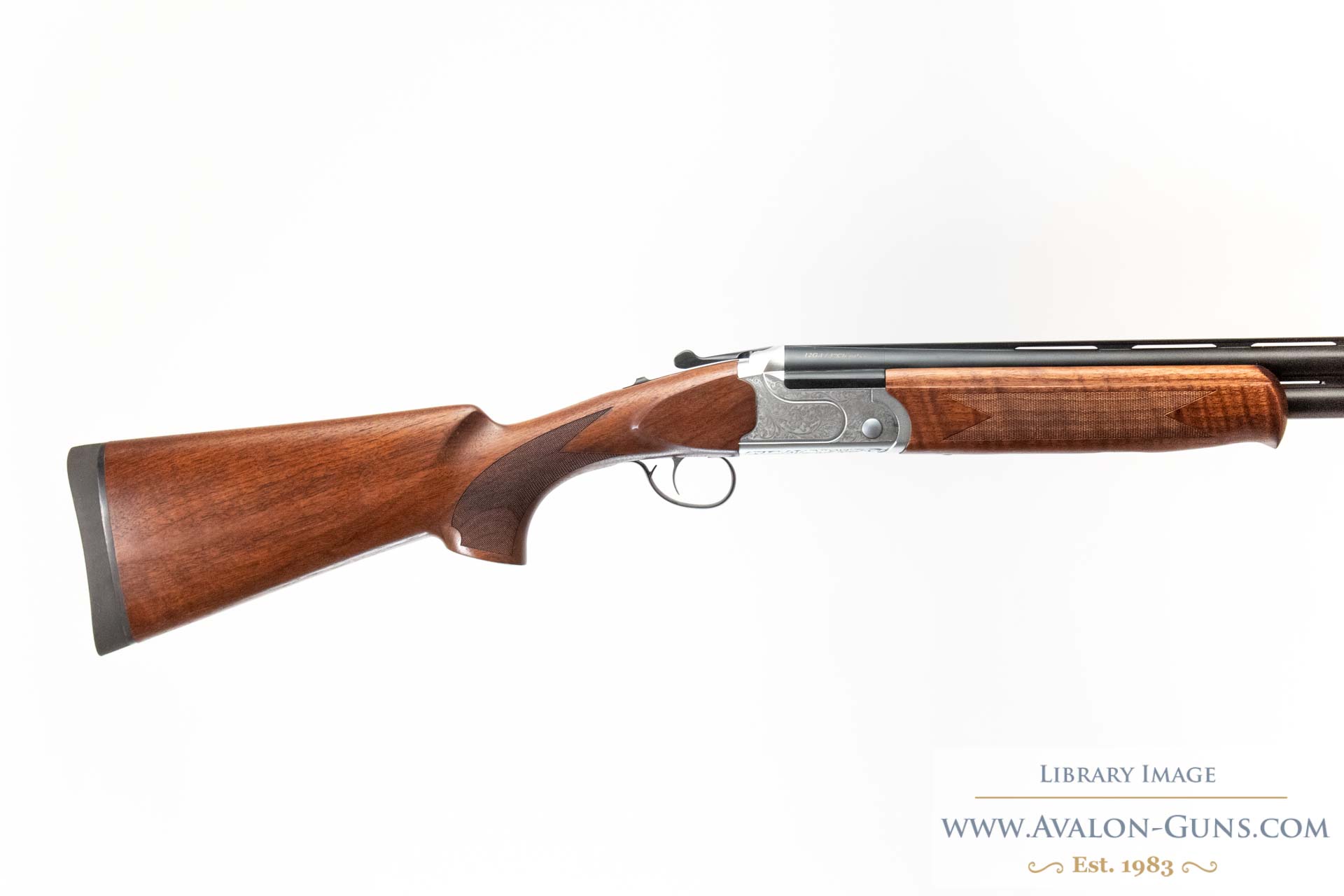 Gun_Image