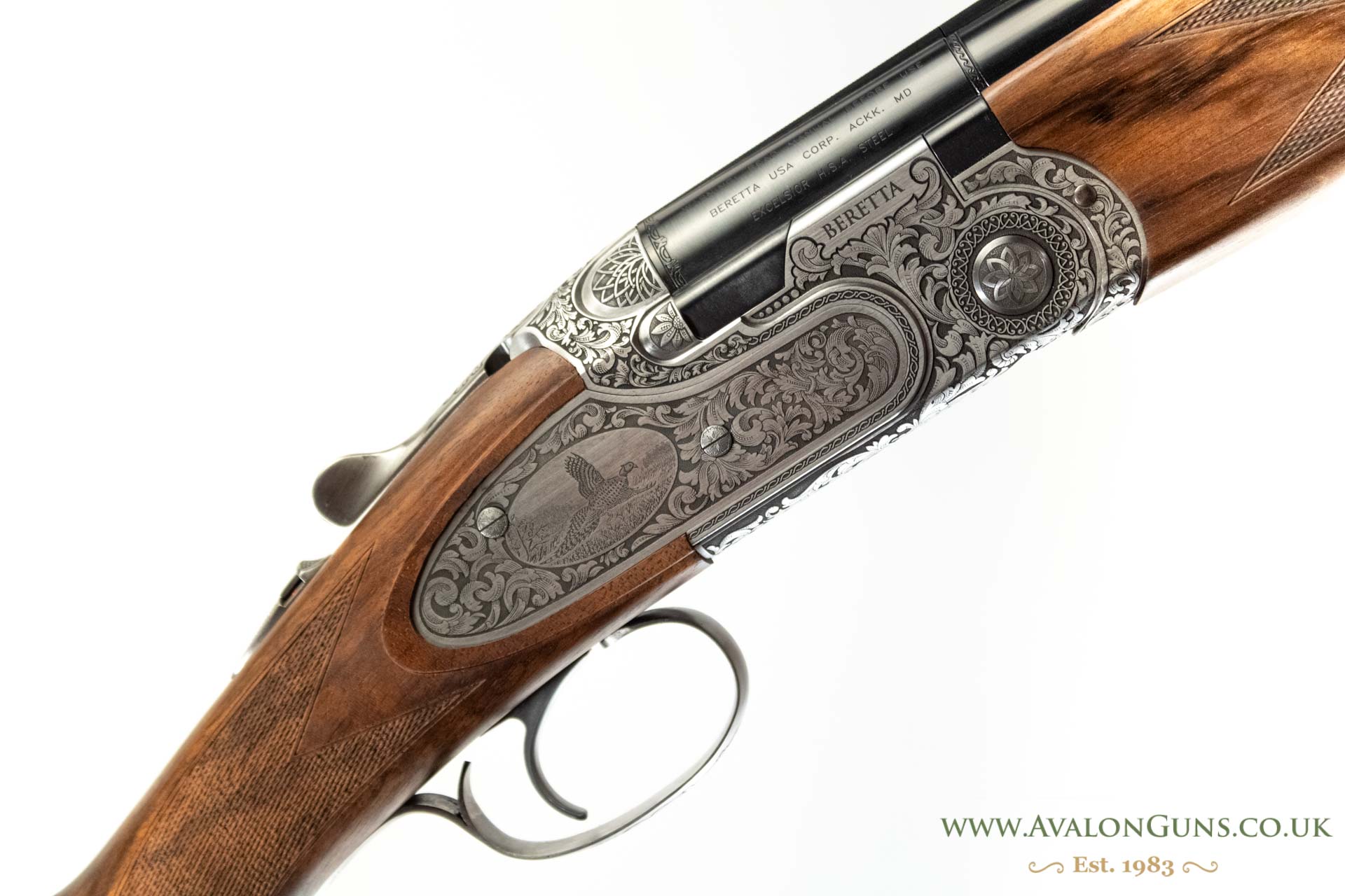 Gun_Image