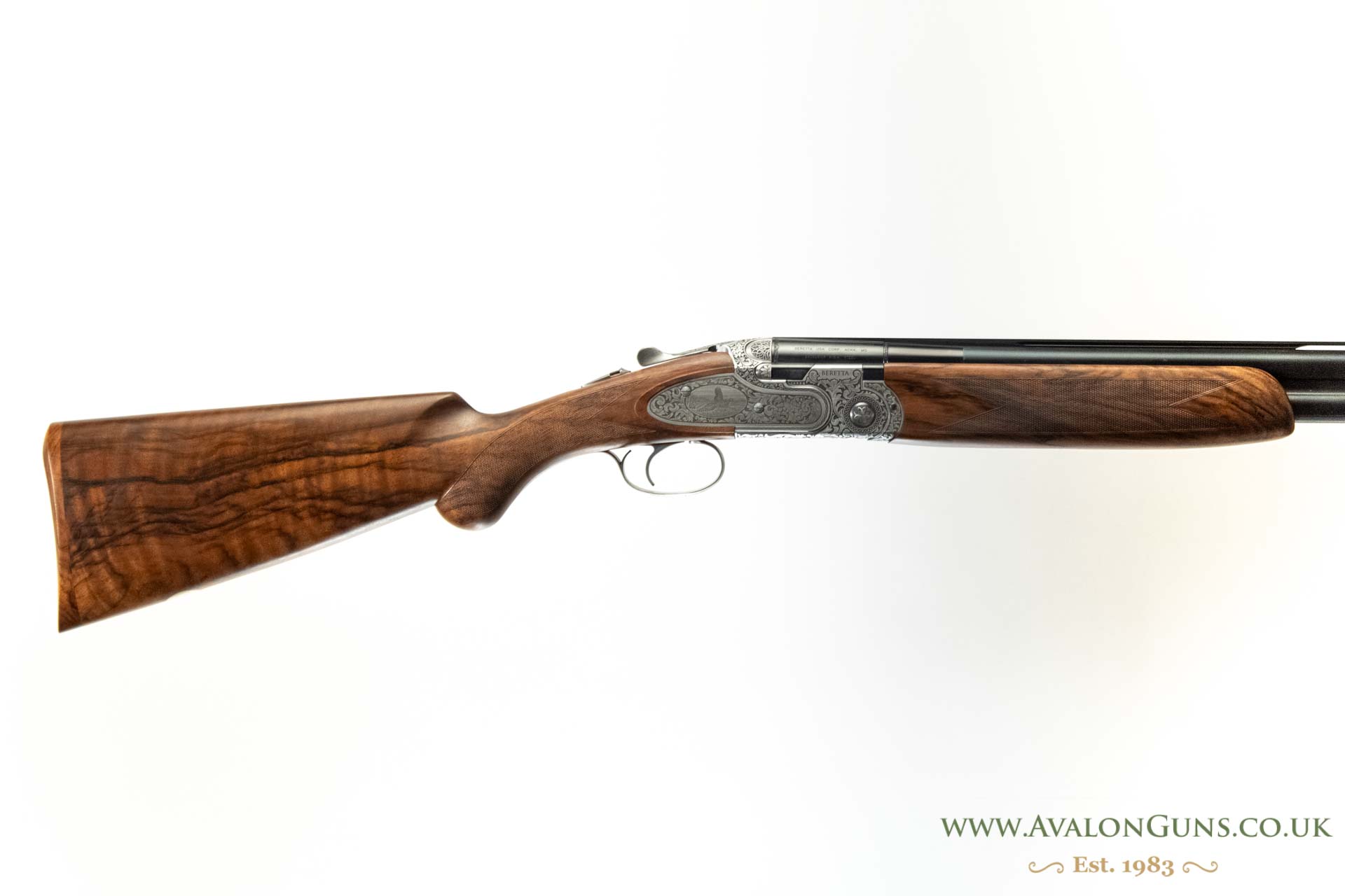 Gun_Image