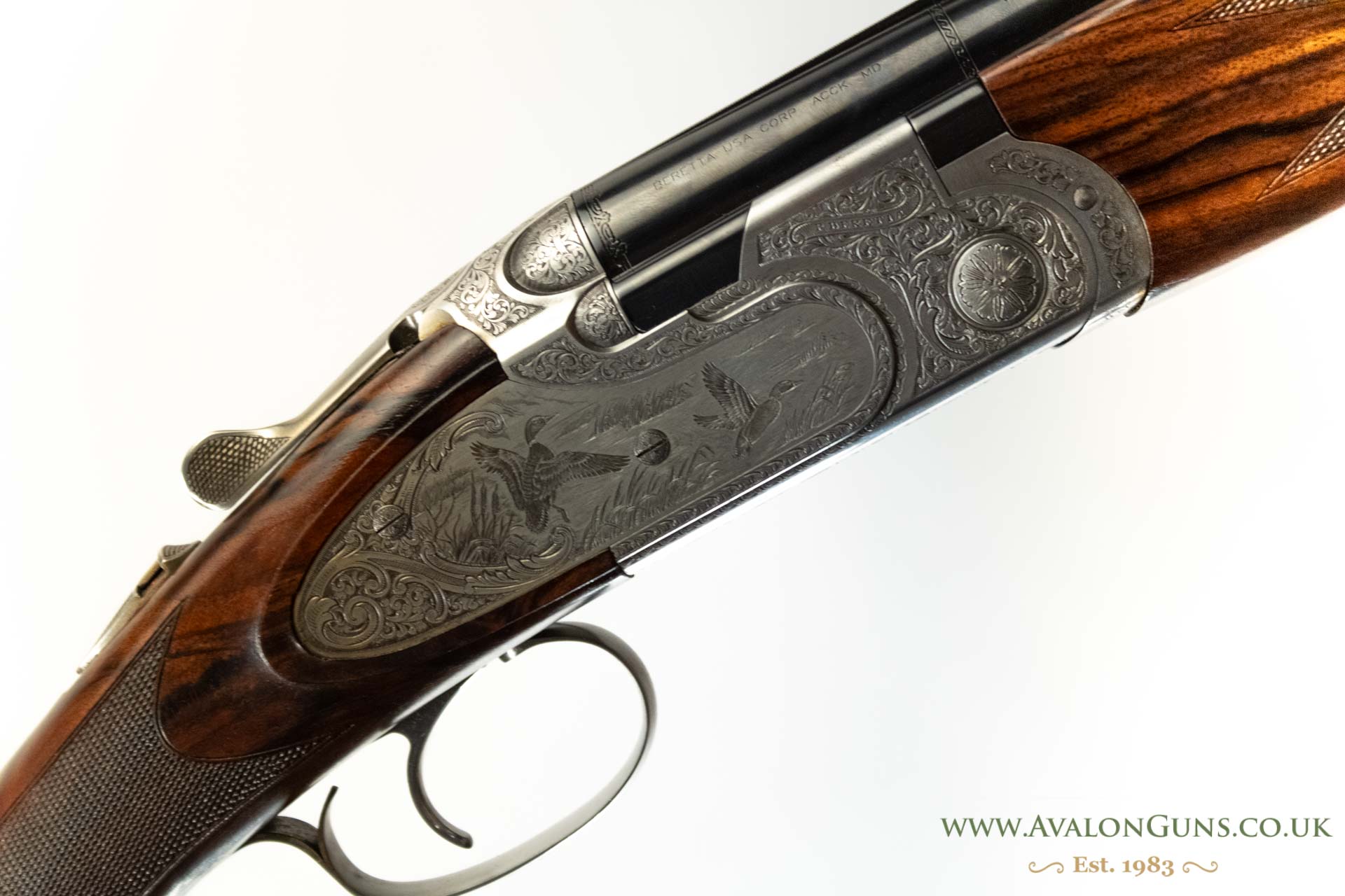 Gun_Image