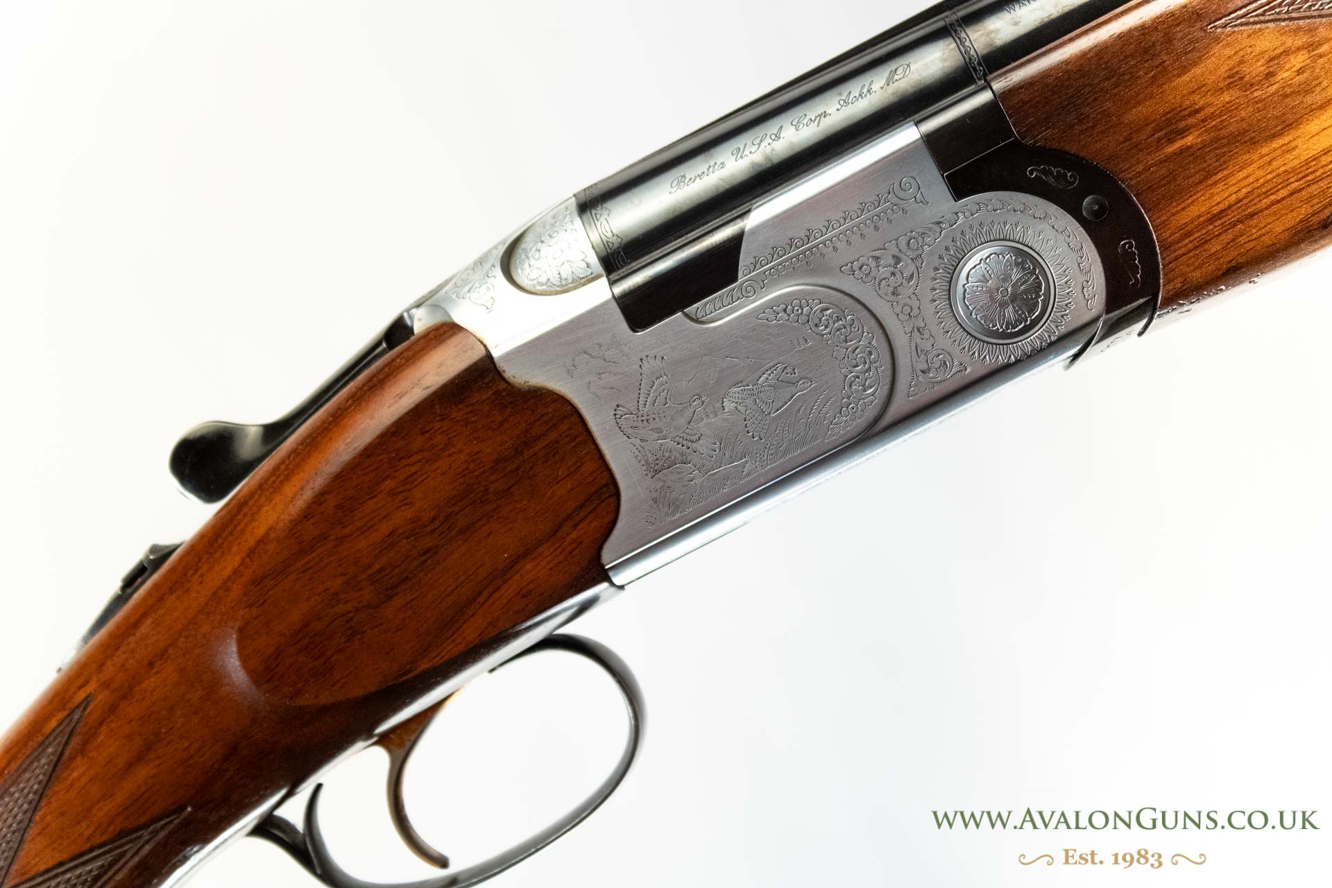 Gun_Image