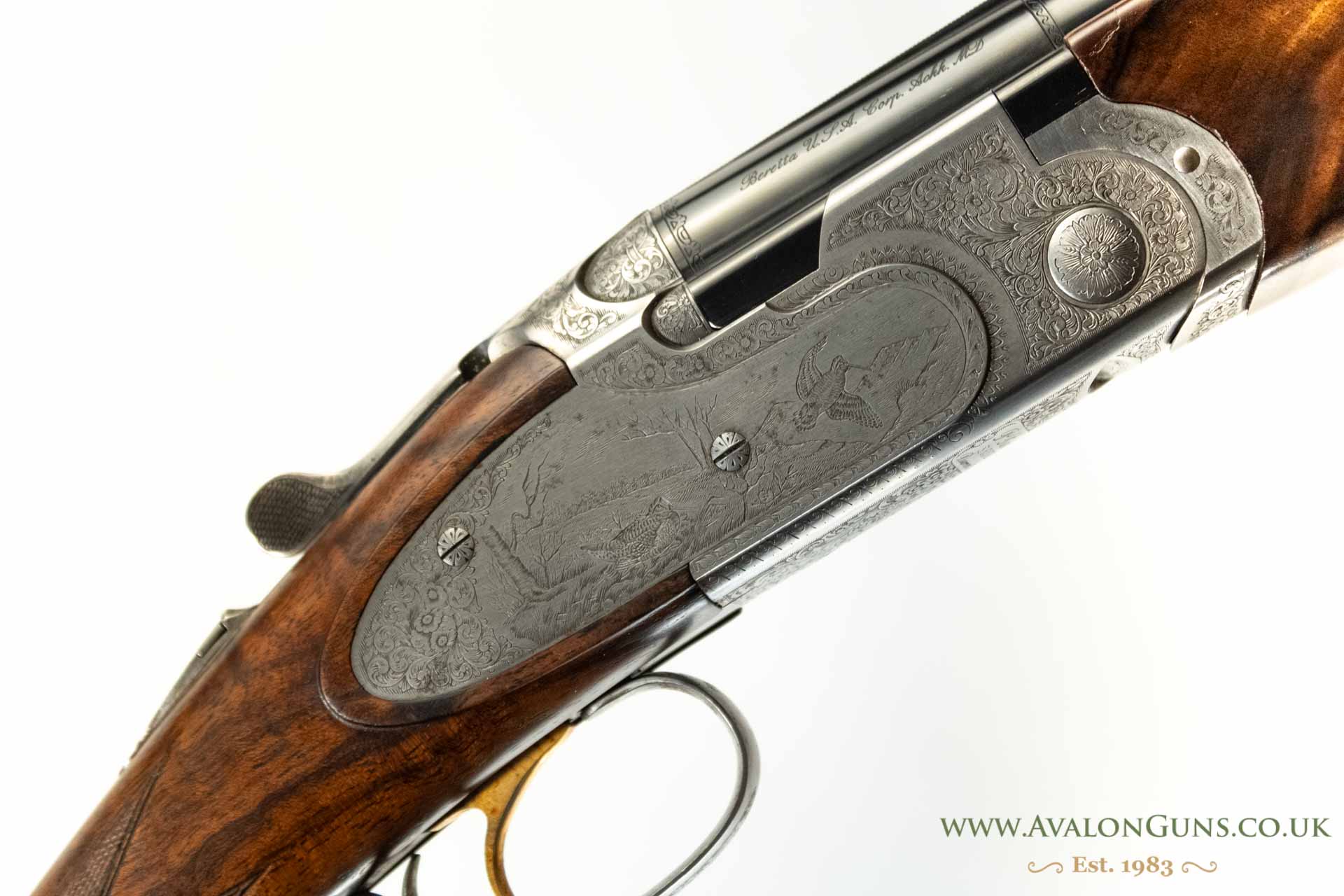 Gun_Image