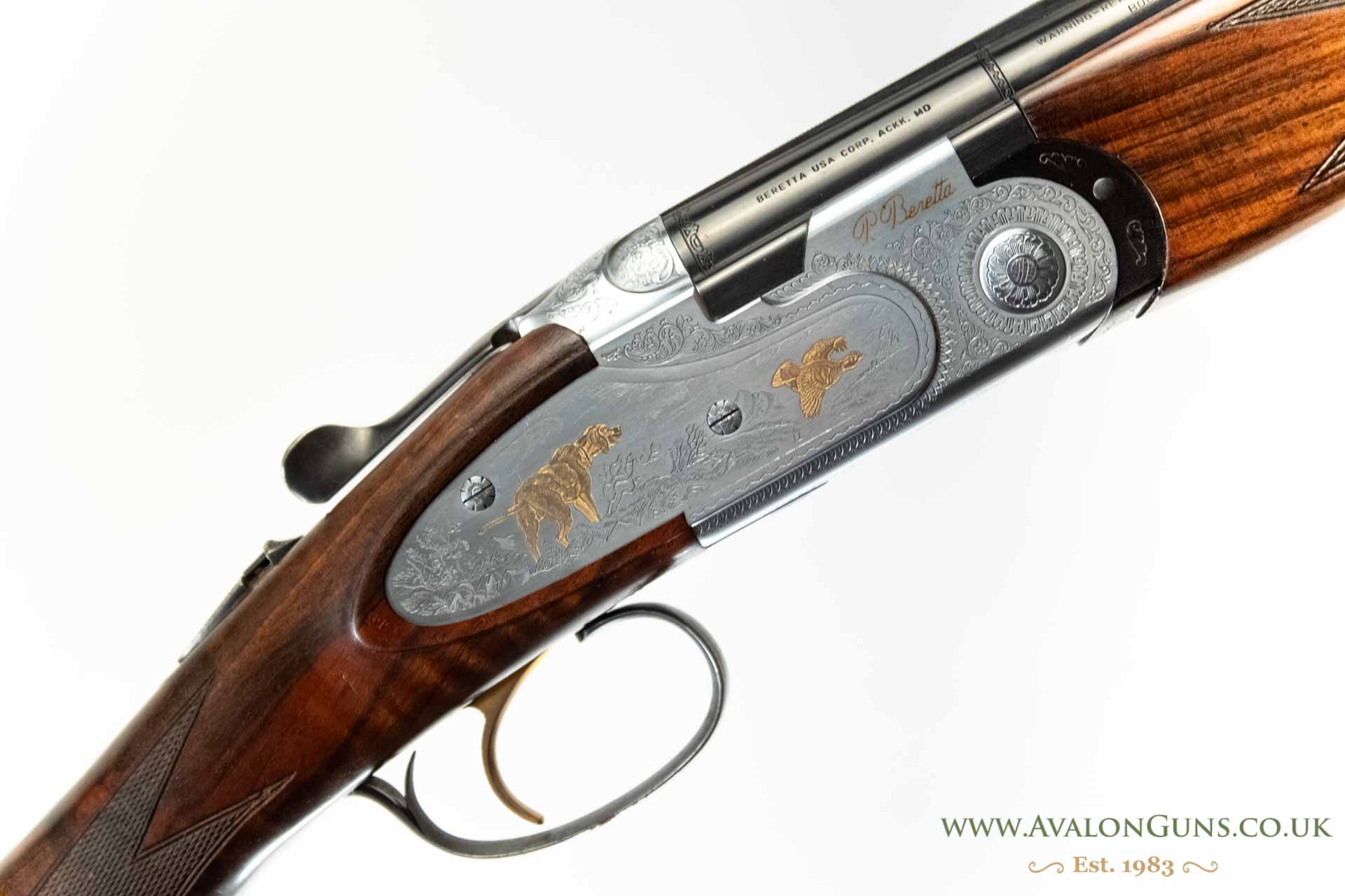 Gun_Image