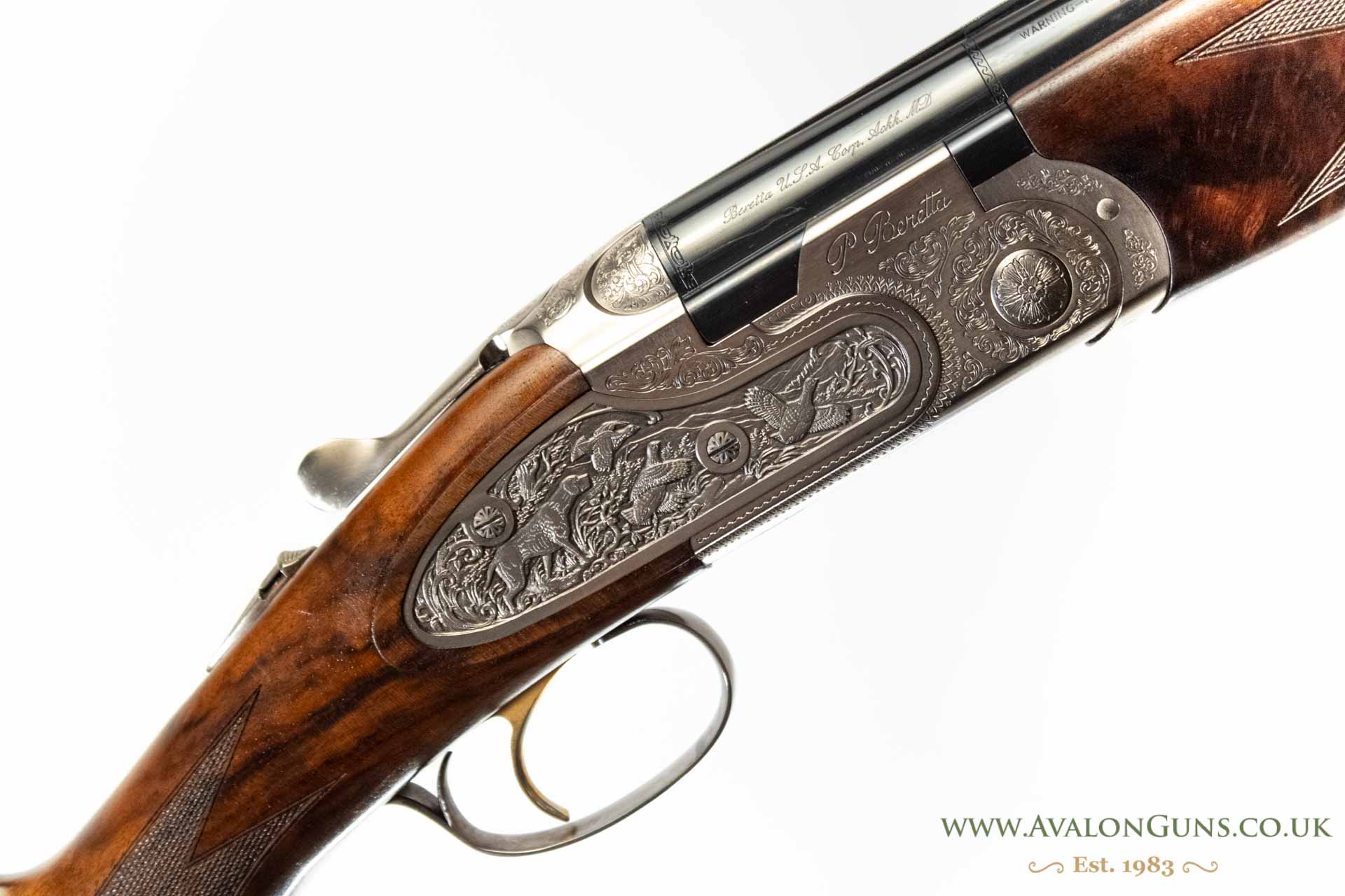 Gun_Image