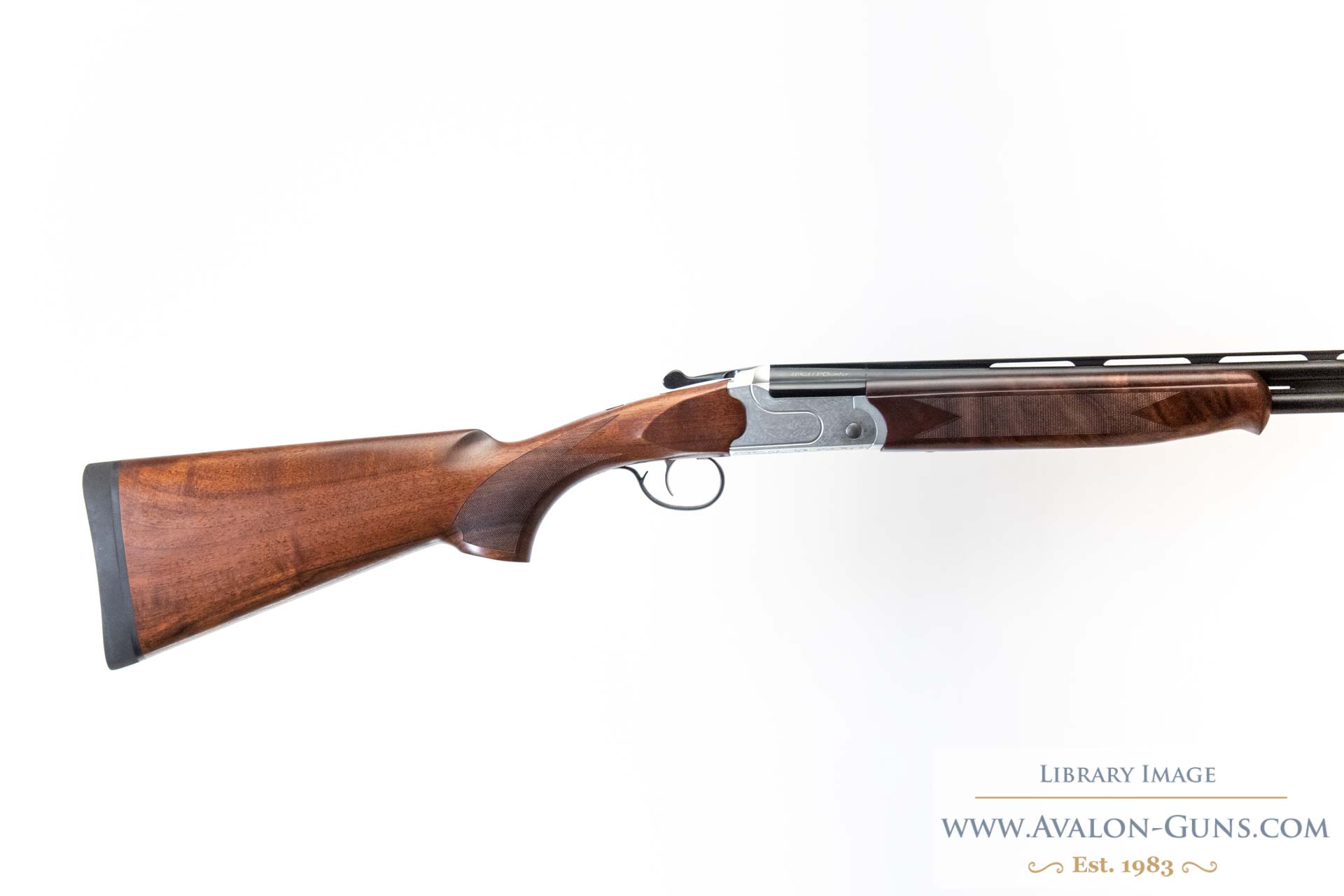 Gun_Image