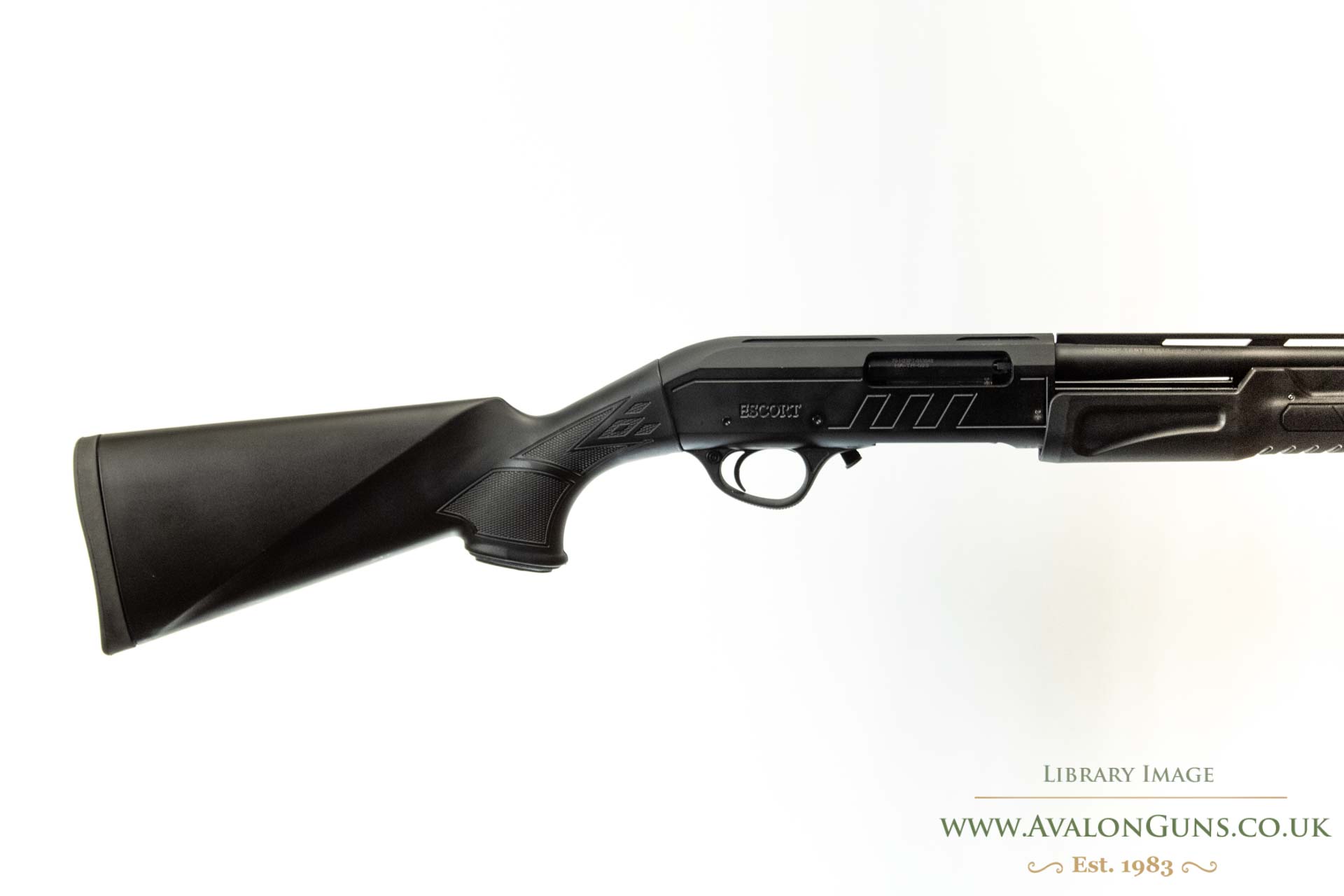 Gun_Image