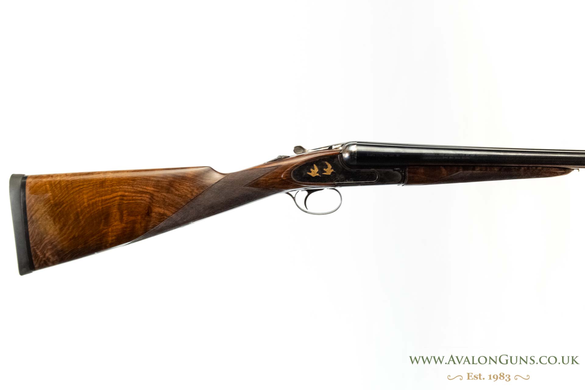 Gun_Image