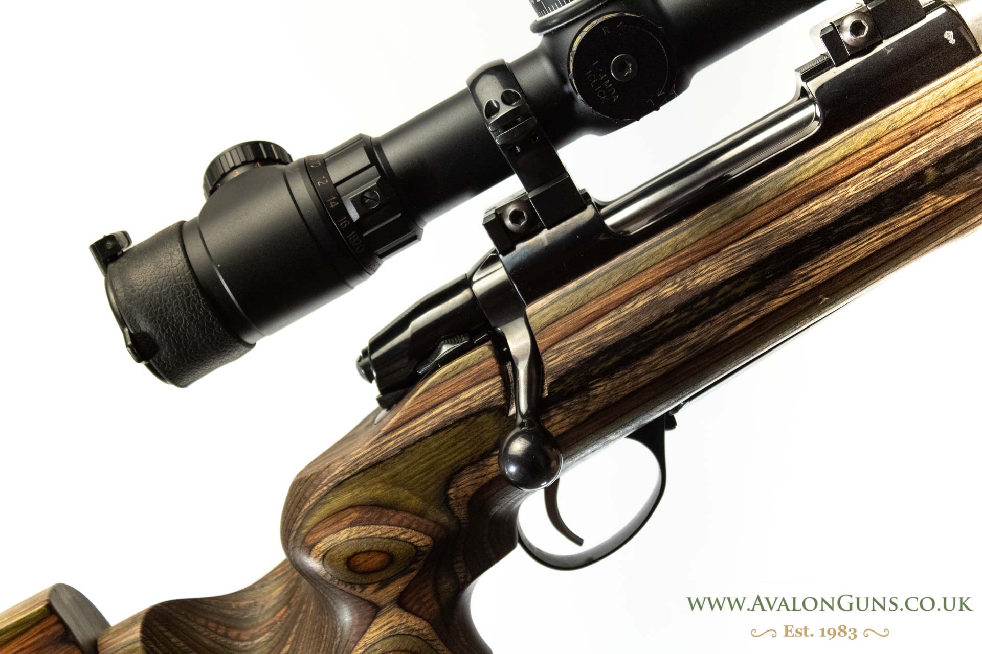 Gun_Image