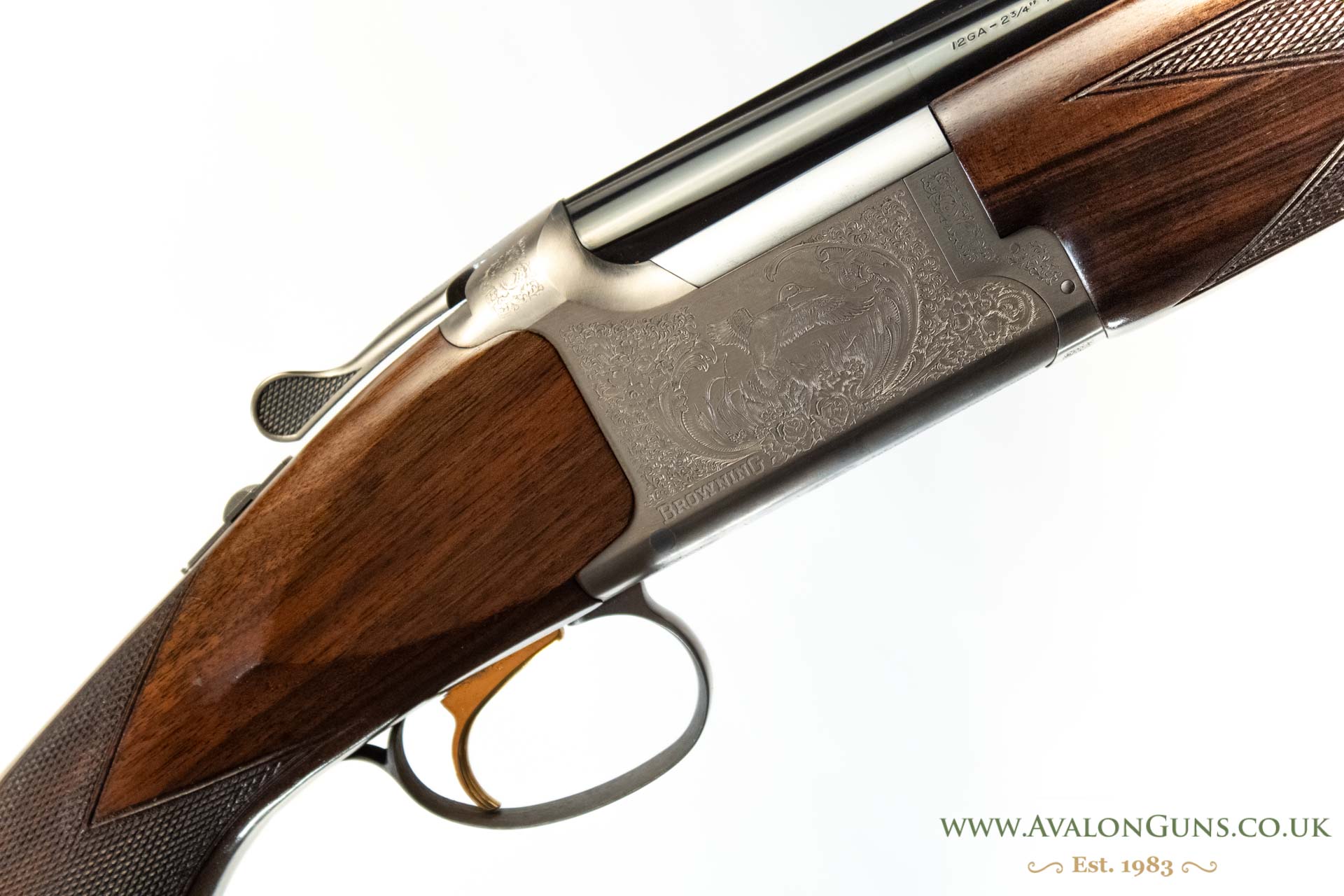 Gun_Image