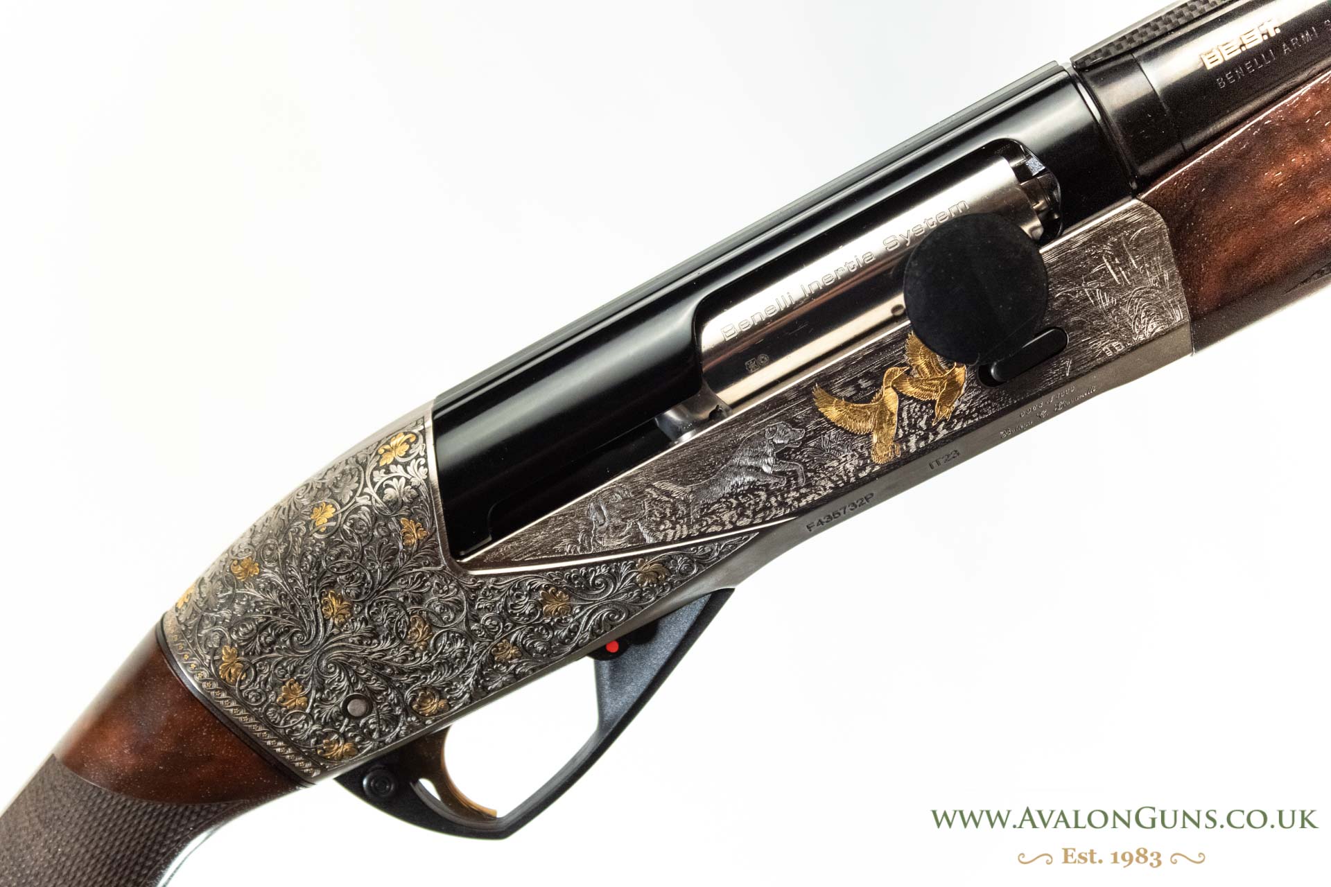 Gun_Image