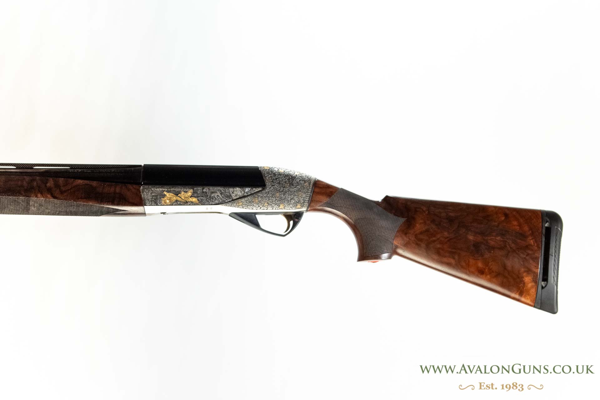 Benelli Raffaello