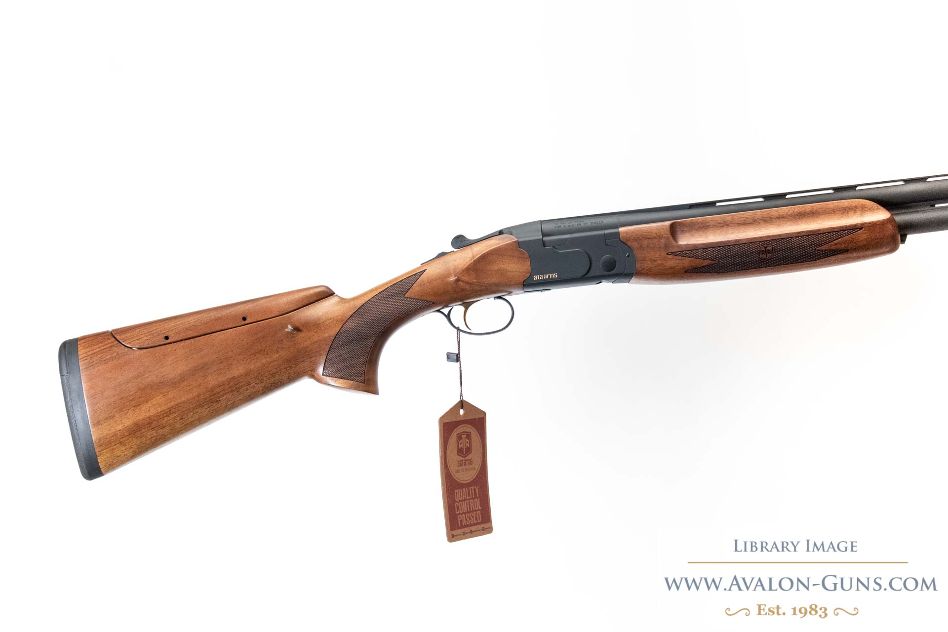 Gun_Image
