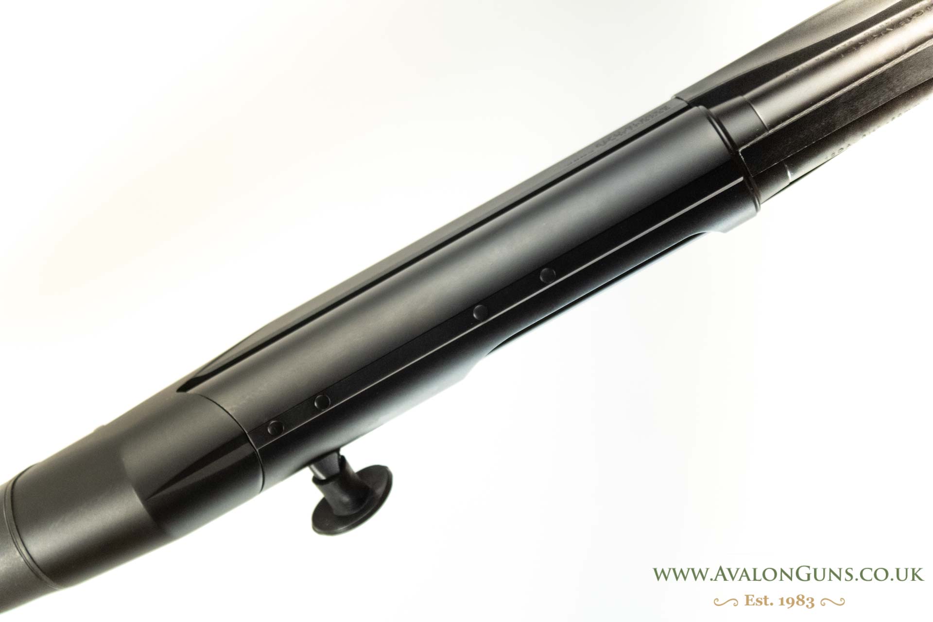 Benelli Raffaello