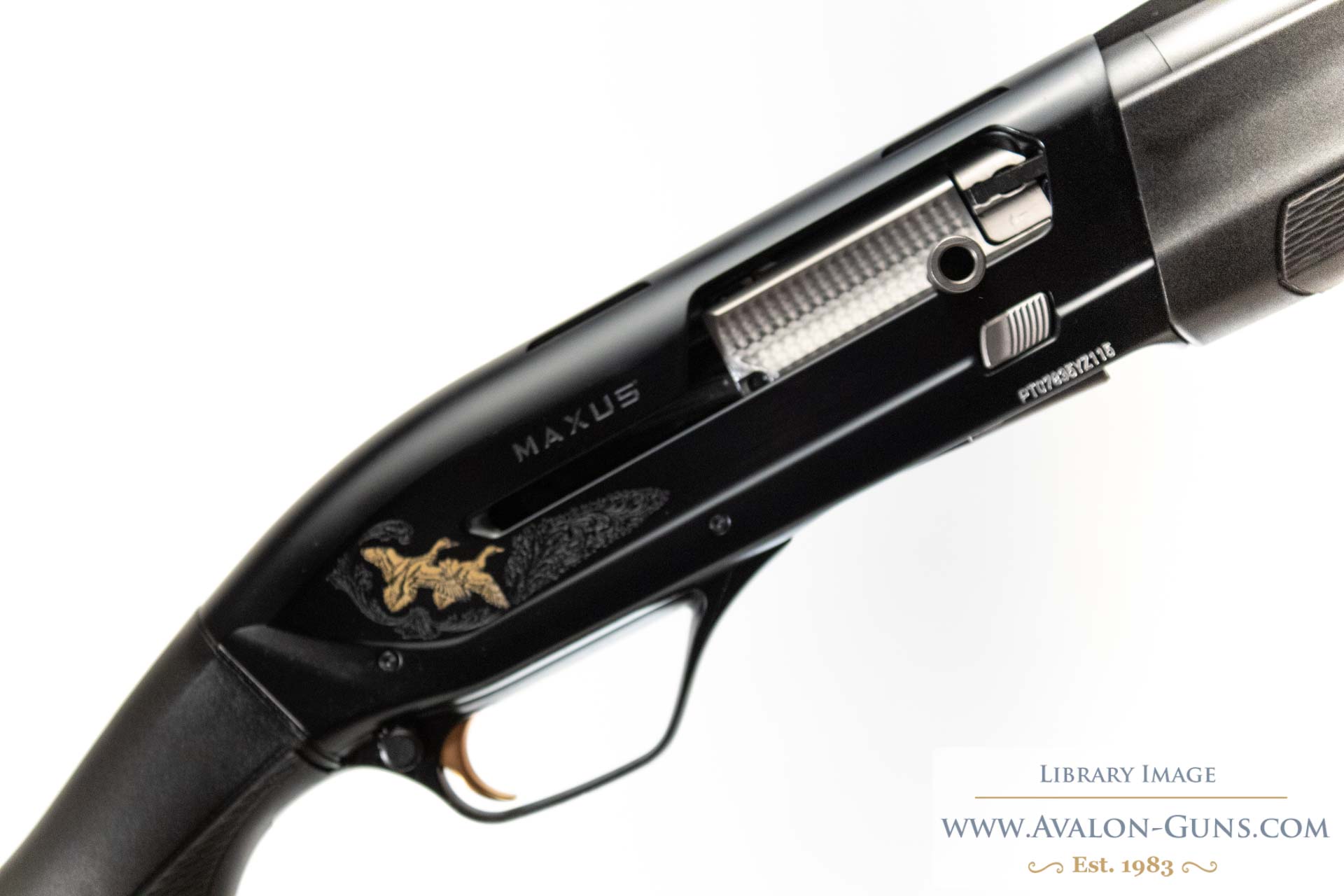 Gun_Image