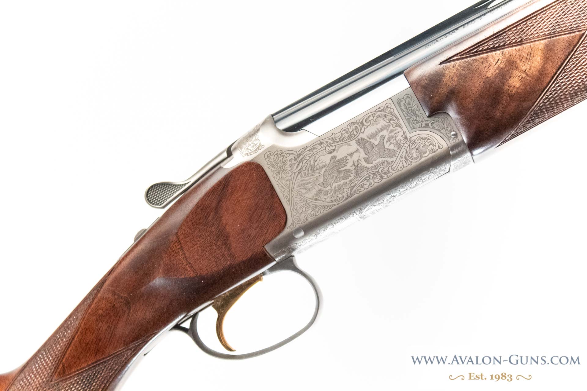Gun_Image